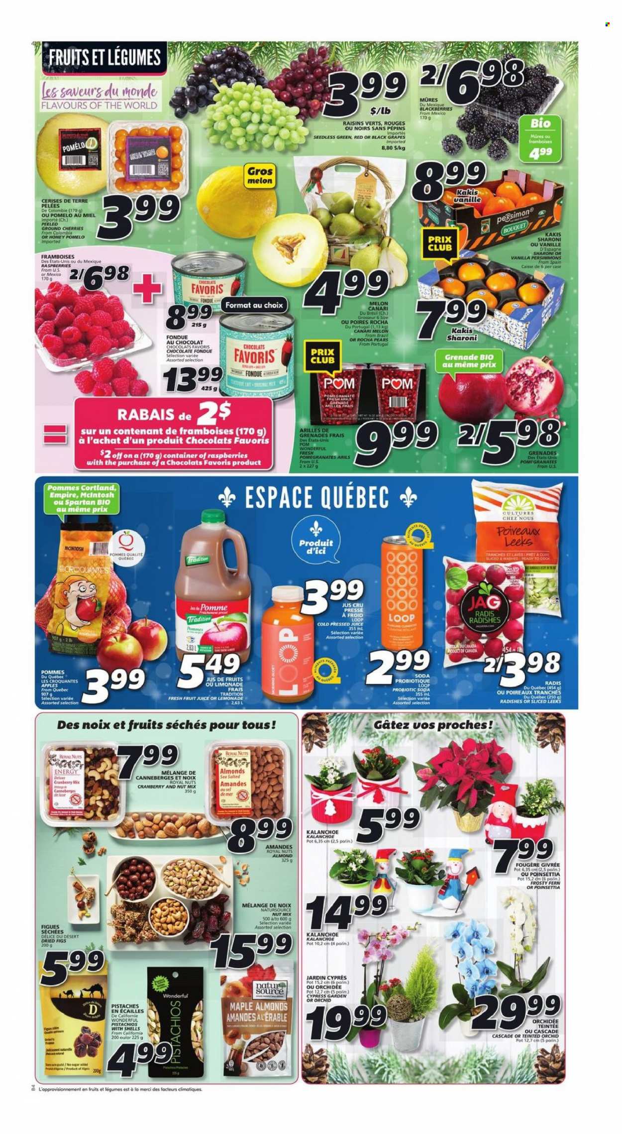 IGA flyer - December 15, 2022 - December 21, 2022. Page 5