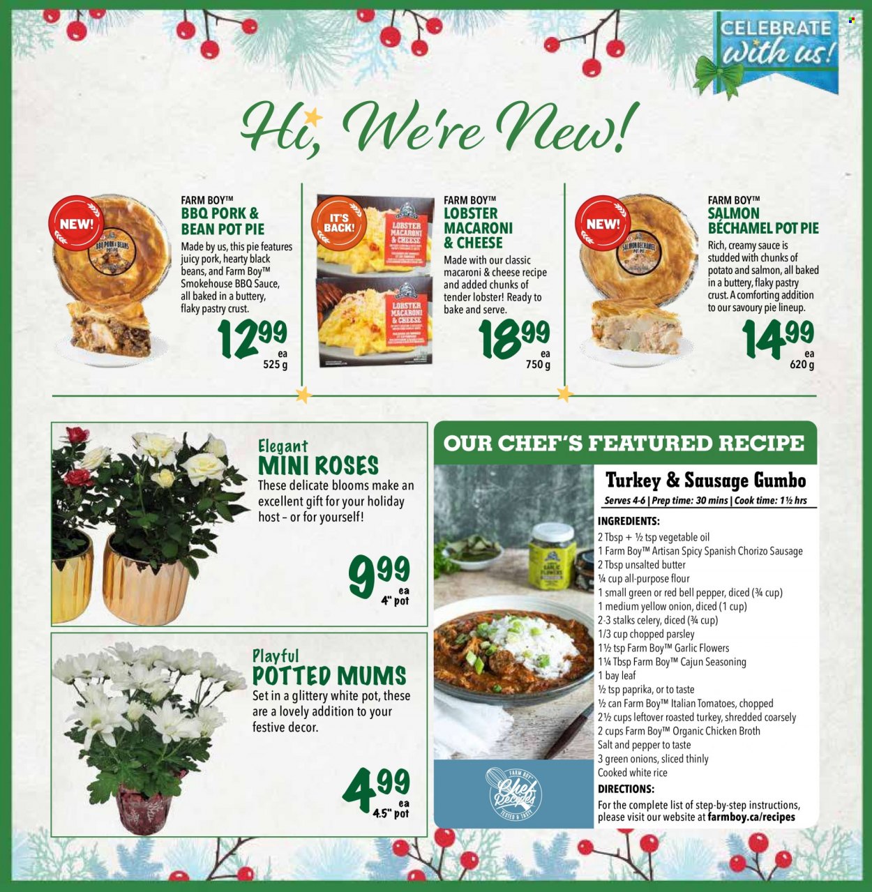 Farm Boy flyer - December 15, 2022 - December 21, 2022. Page 9