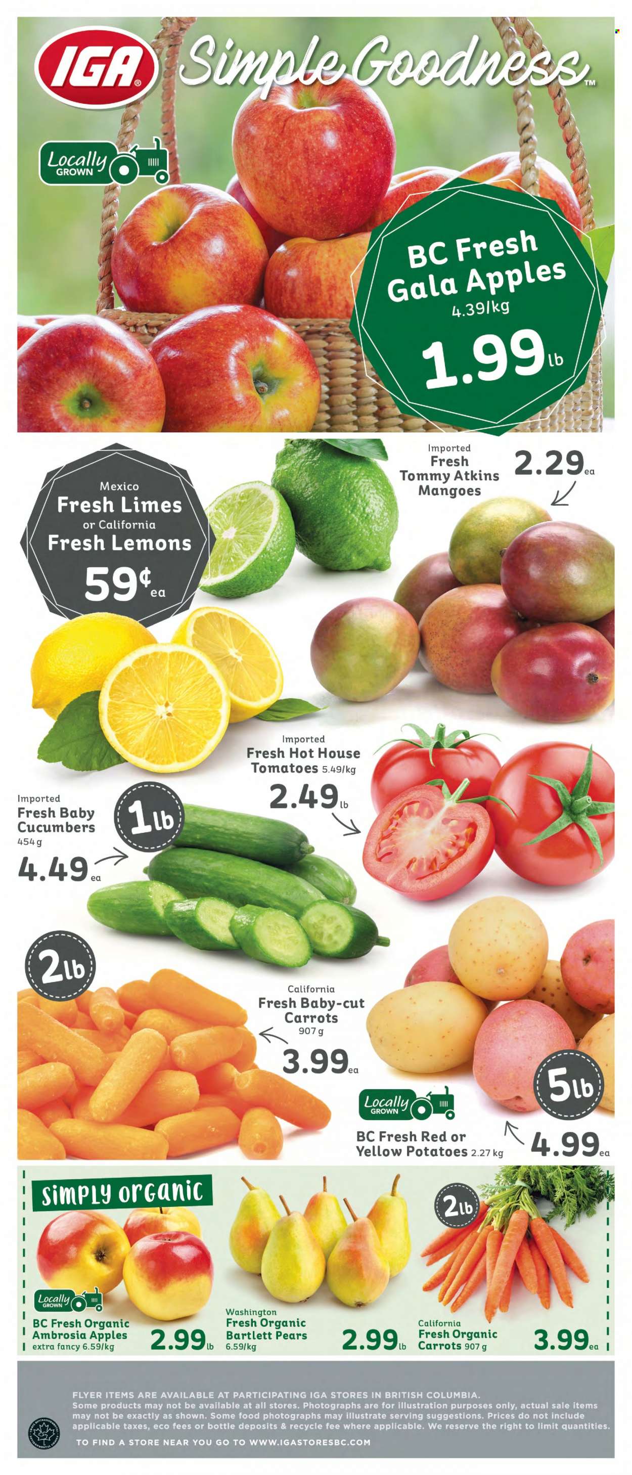 IGA Simple Goodness flyer - December 30, 2022 - January 05, 2023. Page 6