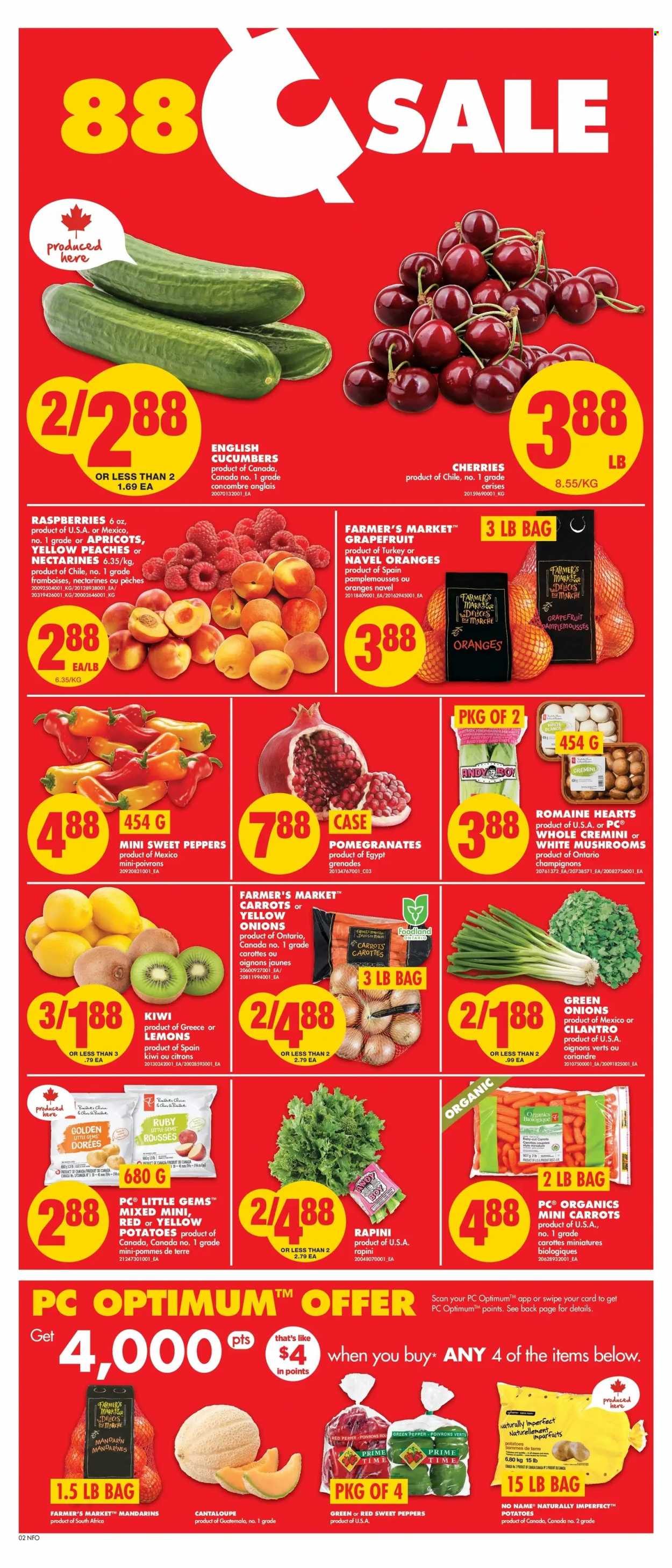 No Frills flyer - January 05, 2023 - January 11, 2023. Page 2