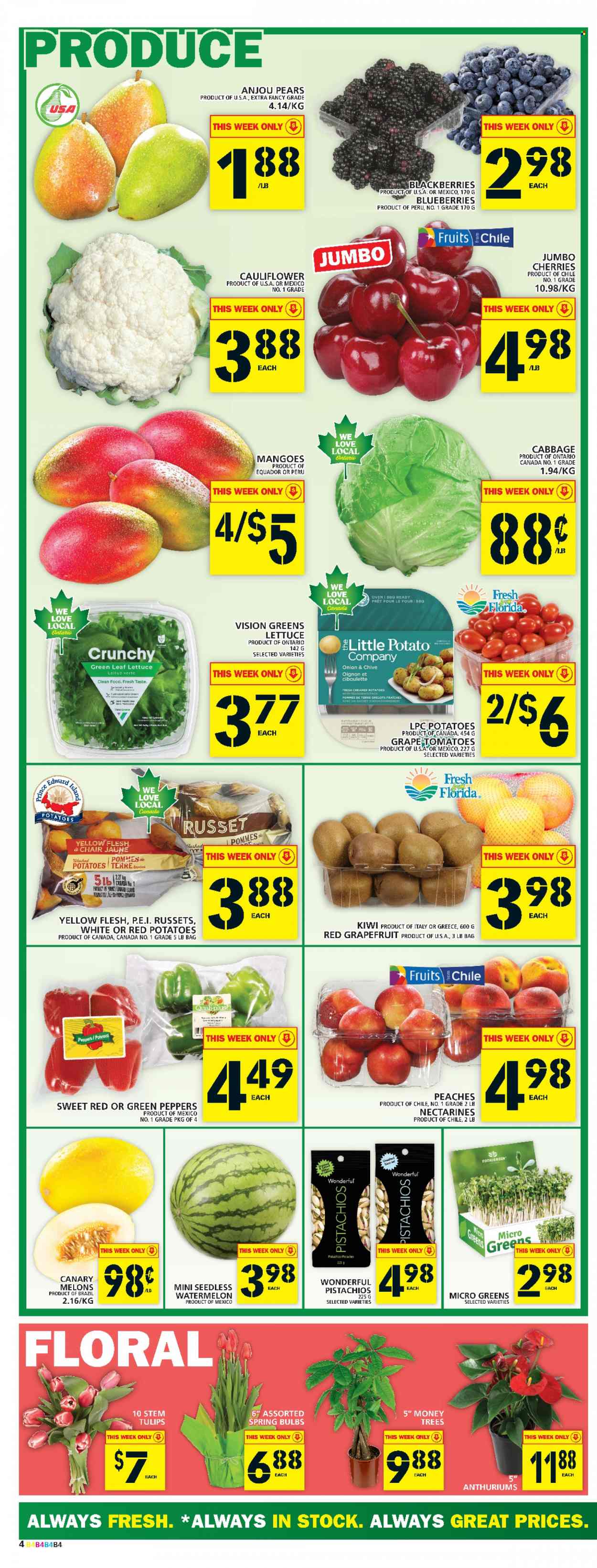 Food Basics flyer - January 19, 2023 - January 25, 2023. Page 5