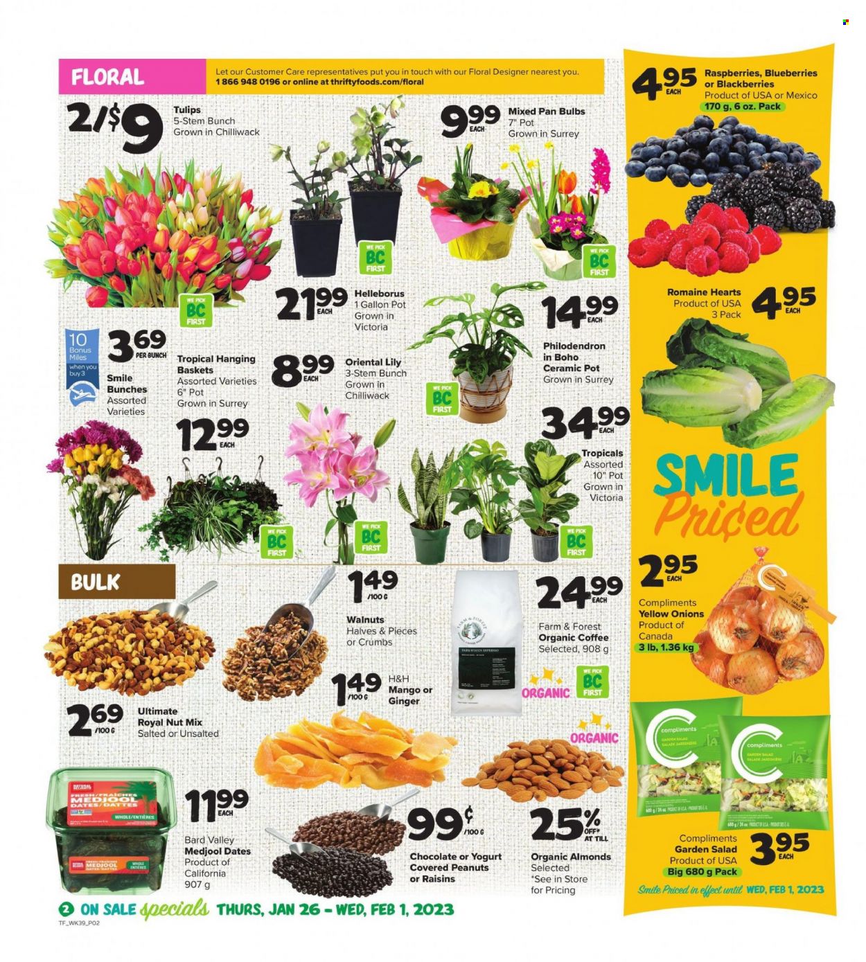 thumbnail - Thrifty Foods Flyer - January 26, 2023 - February 01, 2023 - Sales products - ginger, onion, salad, romaine hearts, blackberries, blueberries, mango, raspberries, yoghurt, almonds, walnuts, peanuts, dried fruit, dried dates, mixed nuts, organic coffee, pot, tulip, bunches, lily. Page 2.