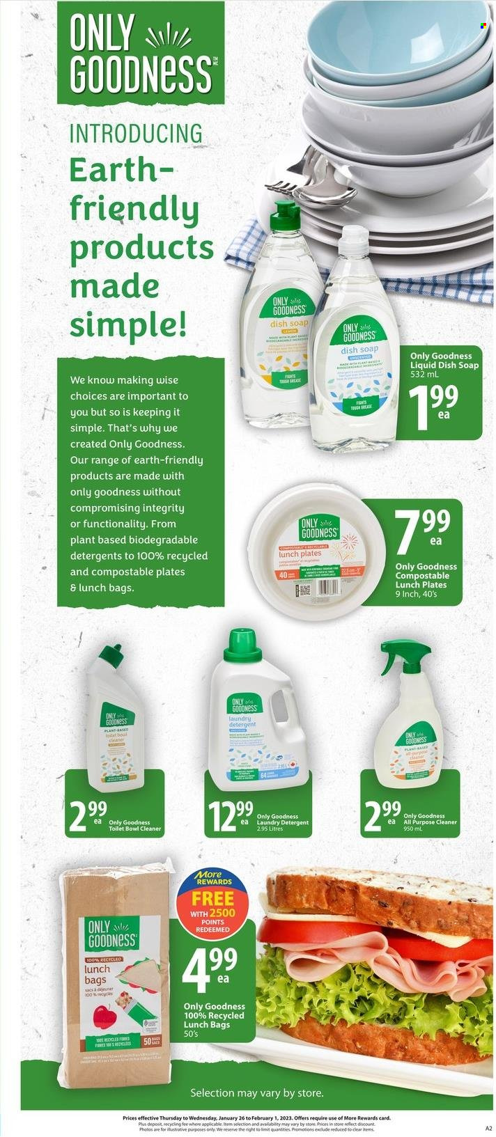 thumbnail - Save-On-Foods Flyer - January 26, 2023 - February 01, 2023 - Sales products - cleaner, all purpose cleaner, laundry detergent, soap, plate, detergent. Page 13.