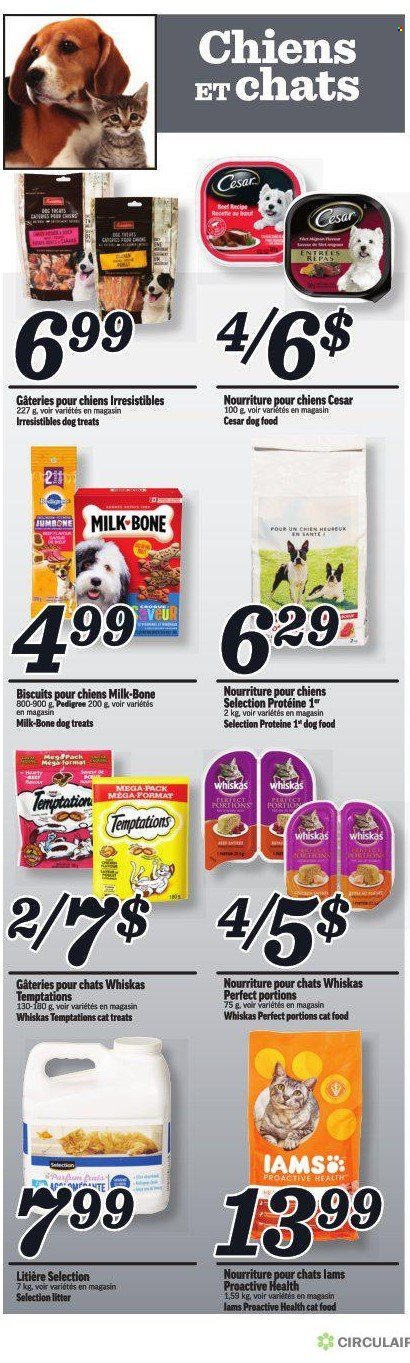 thumbnail - Marché Richelieu Flyer - January 26, 2023 - February 01, 2023 - Sales products - milk, biscuit, animal food, cat food, dog food, Pedigree, Iams, Whiskas. Page 6.