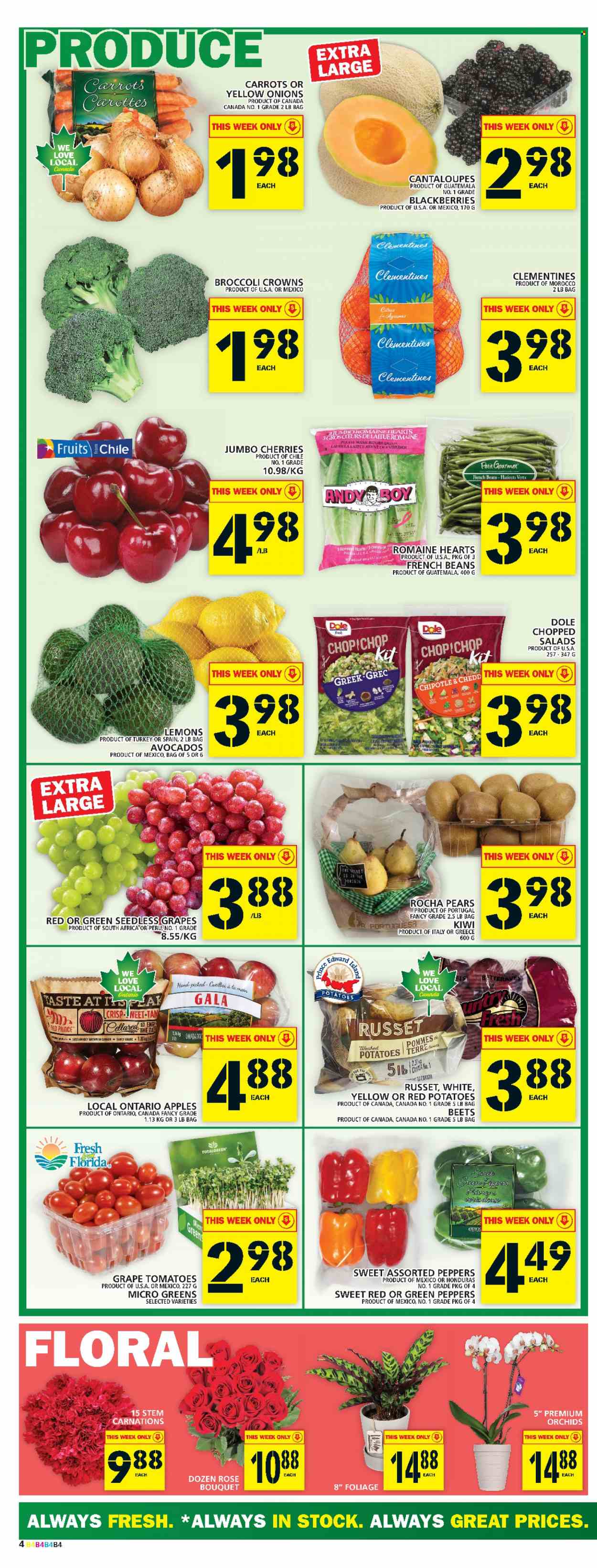 thumbnail - Food Basics Flyer - January 26, 2023 - February 01, 2023 - Sales products - beans, cantaloupe, carrots, french beans, russet potatoes, tomatoes, potatoes, onion, Dole, peppers, red potatoes, chopped salad, apples, avocado, blackberries, clementines, Gala, seedless grapes, cherries, pears, lemons, wine, rosé wine, bouquet, rose, kiwi, micro greens. Page 5.