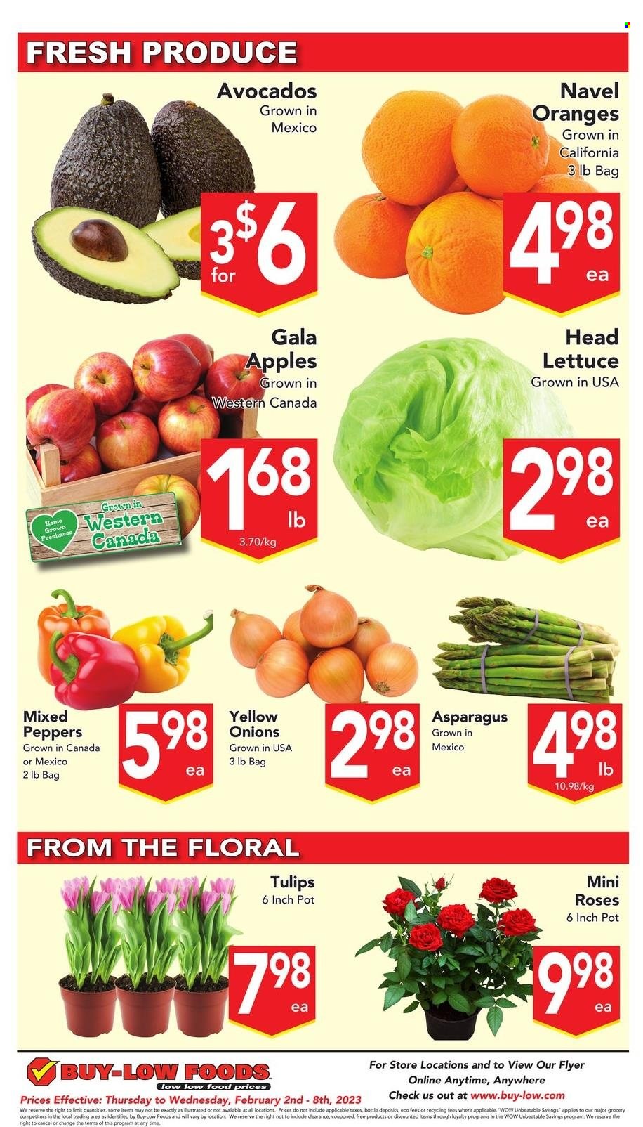 thumbnail - Buy-Low Foods Flyer - February 02, 2023 - February 08, 2023 - Sales products - asparagus, onion, lettuce, peppers, apples, avocado, Gala, oranges, navel oranges. Page 7.