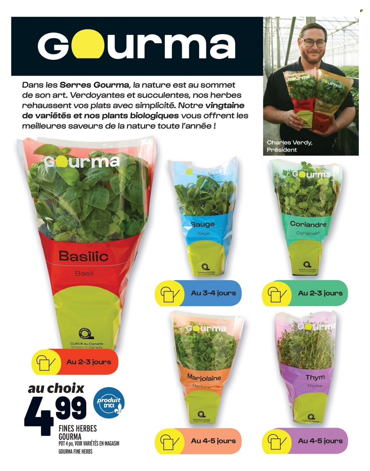 thumbnail - Metro Flyer - February 02, 2023 - February 08, 2023 - Sales products - Président, herbs, coriander, pot. Page 14.