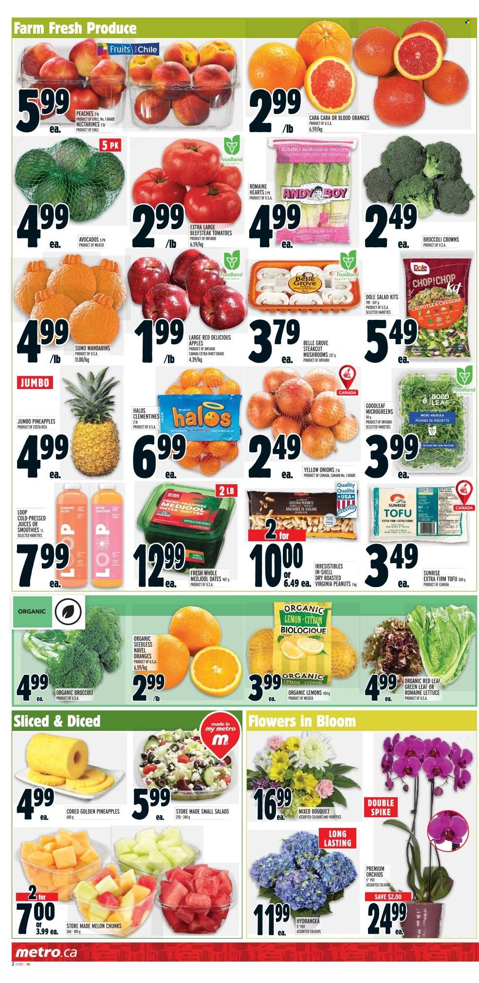 thumbnail - Metro Flyer - February 02, 2023 - February 08, 2023 - Sales products - mushrooms, tomatoes, onion, lettuce, salad, Dole, apples, avocado, clementines, mandarines, nectarines, Red Delicious apples, pineapple, oranges, melons, lemons, peaches, tofu, peanuts, dried dates, juice, pot, bouquet. Page 3.