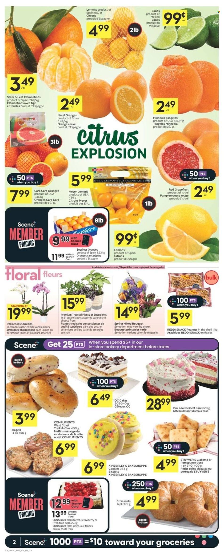 thumbnail - Co-op Flyer - February 02, 2023 - February 08, 2023 - Sales products - bagels, cake, croissant, buns, muffin, clementines, grapefruits, limes, tangelos, oranges, lemons, navel oranges, cookies, snack, biscuit, peanuts, wine, rosé wine, pot, bouquet, succulent, rose, ciabatta. Page 2.