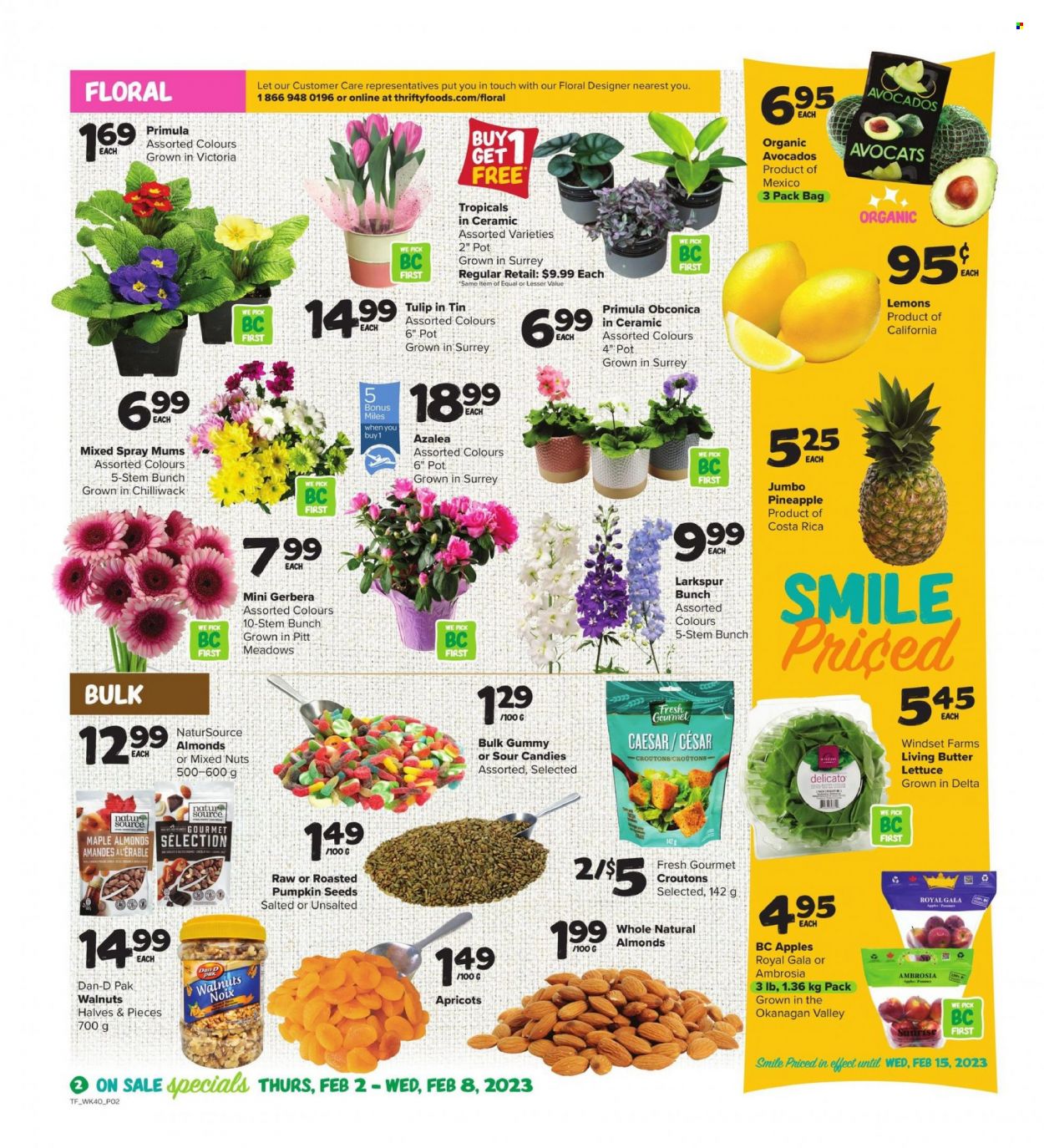 thumbnail - Thrifty Foods Flyer - February 02, 2023 - February 08, 2023 - Sales products - butter lettuce, lettuce, apples, avocado, Gala, pineapple, apricots, lemons, sweets, croutons, Dan-D Pak, almonds, walnuts, mixed nuts, pumpkin seeds, pot, plant seeds, tulip, primroses, gerbera. Page 2.