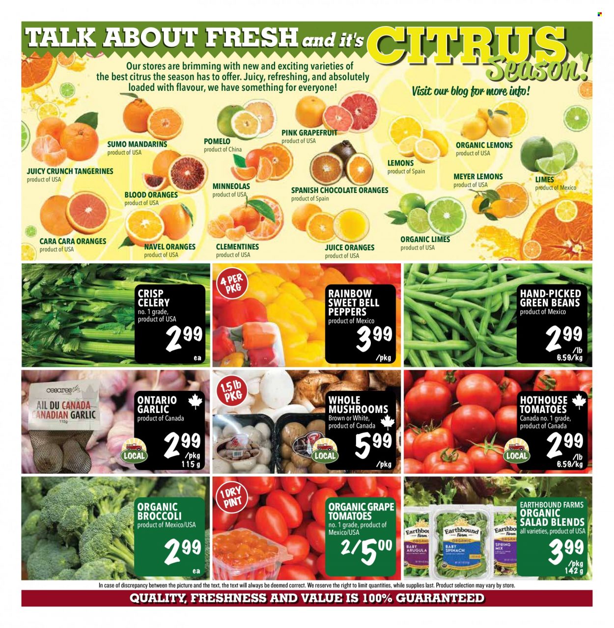 thumbnail - Farm Boy Flyer - February 02, 2023 - February 08, 2023 - Sales products - mushrooms, beans, bell peppers, broccoli, celery, garlic, green beans, tomatoes, salad, peppers, clementines, grapefruits, limes, mandarines, tangerines, oranges, lemons, pomelo, navel oranges, chocolate, juice. Page 6.