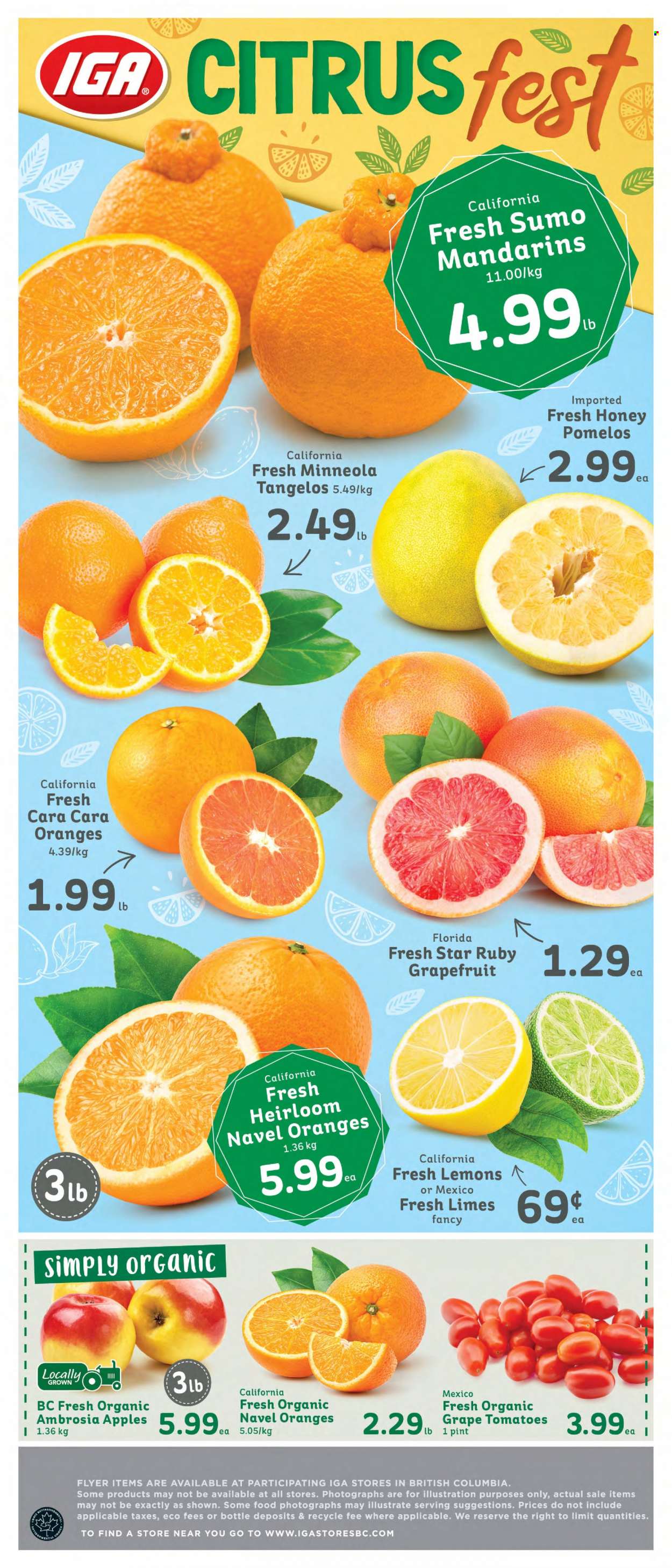 thumbnail - IGA Simple Goodness Flyer - February 03, 2023 - February 09, 2023 - Sales products - tomatoes, apples, grapefruits, limes, mandarines, tangelos, oranges, lemons, navel oranges, honey. Page 6.