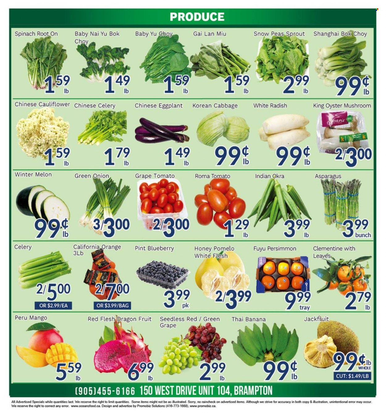 thumbnail - Oceans Flyer - February 03, 2023 - February 09, 2023 - Sales products - oyster mushrooms, mushrooms, asparagus, bok choy, cabbage, cauliflower, celery, radishes, spinach, tomatoes, peas, okra, onion, eggplant, white radish, green onion, mango, persimmons, oranges, melons, pomelo, dragon fruit, oysters, snow peas, honey. Page 2.