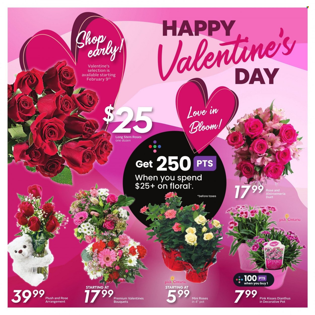 Sobeys flyer - February 09, 2023 - February 15, 2023. Page 19