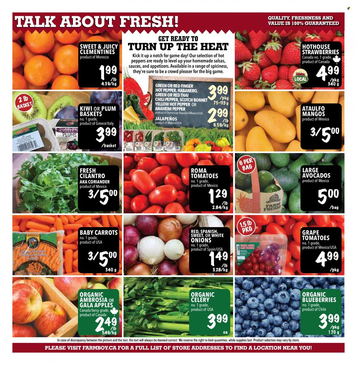 thumbnail - Farm Boy Flyer - February 09, 2023 - February 15, 2023 - Sales products - carrots, celery, tomatoes, onion, peppers, apples, avocado, blueberries, clementines, Gala, strawberries, cilantro, pepper, coriander, kiwi. Page 11.