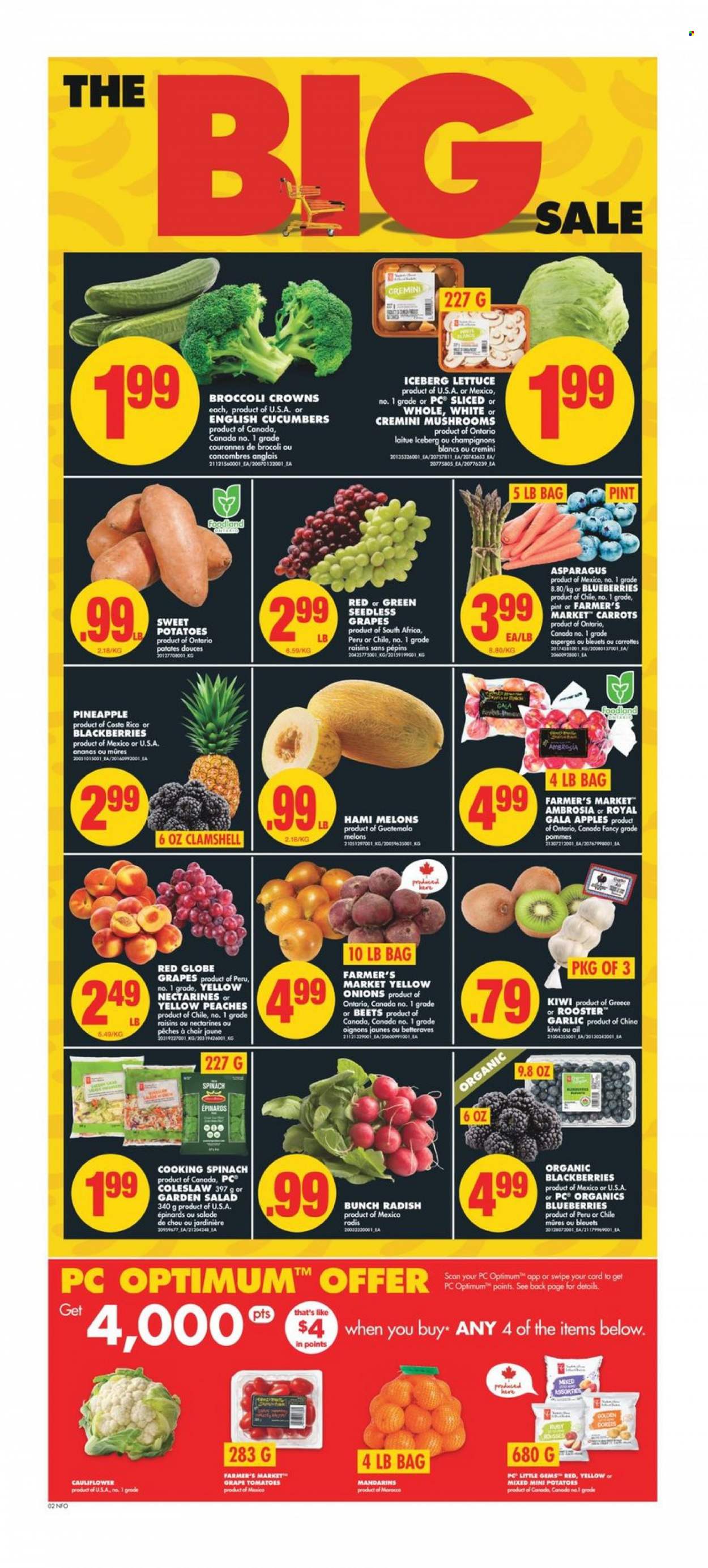 No Frills flyer - February 16, 2023 - February 22, 2023. Page 3