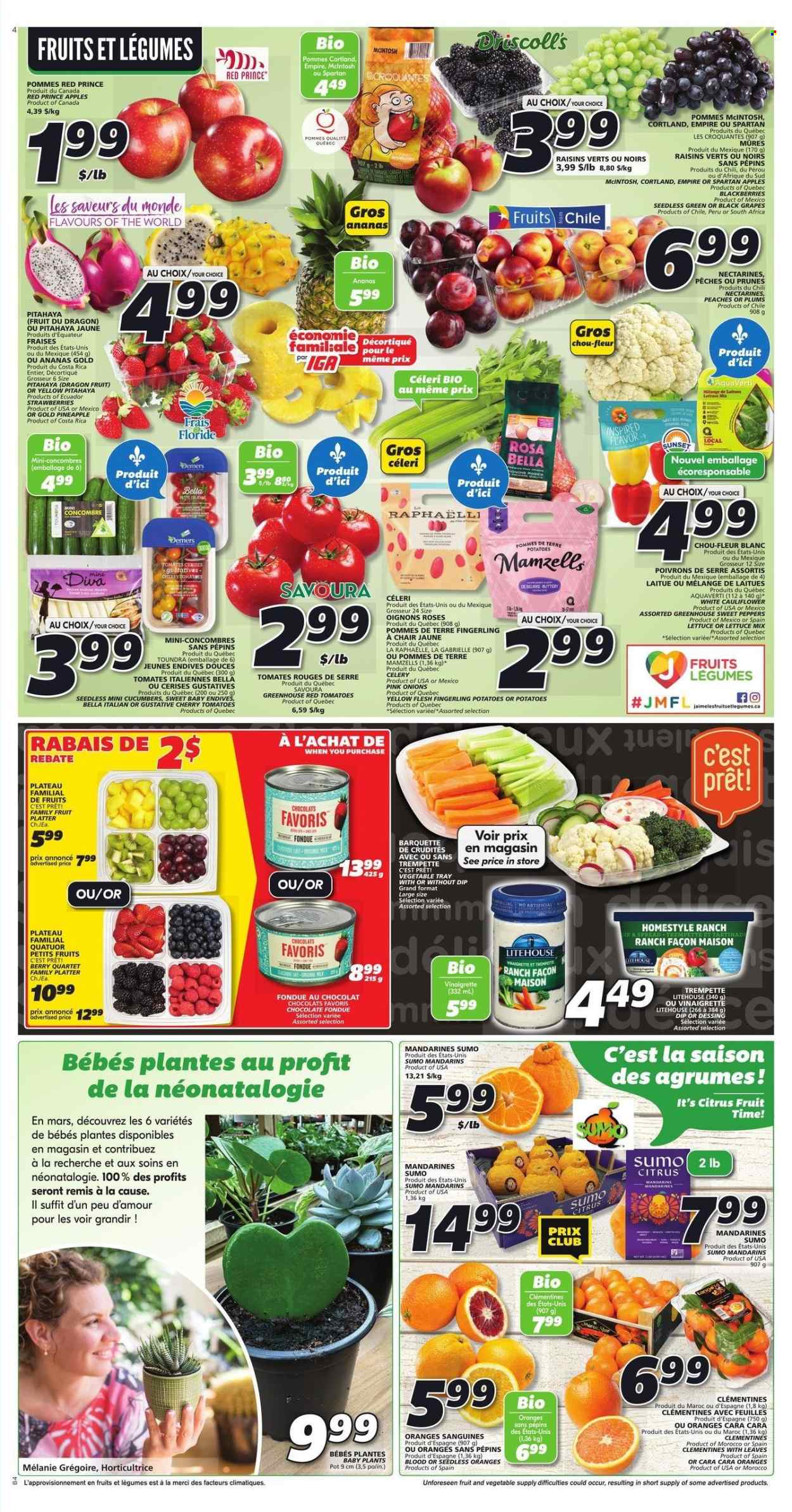 IGA flyer - March 02, 2023 - March 08, 2023. Page 7