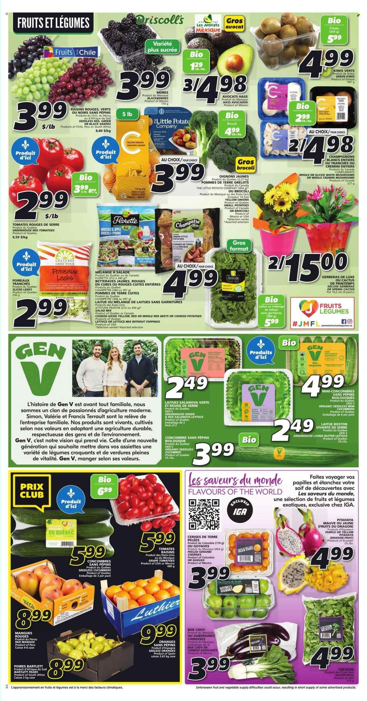 IGA flyer - March 09, 2023 - March 15, 2023. Page 6