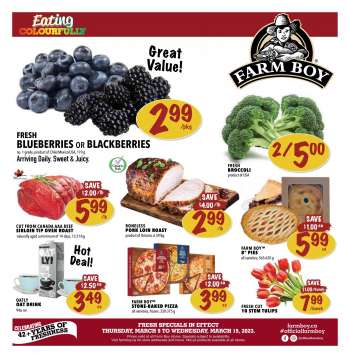 FARM BOY flyer