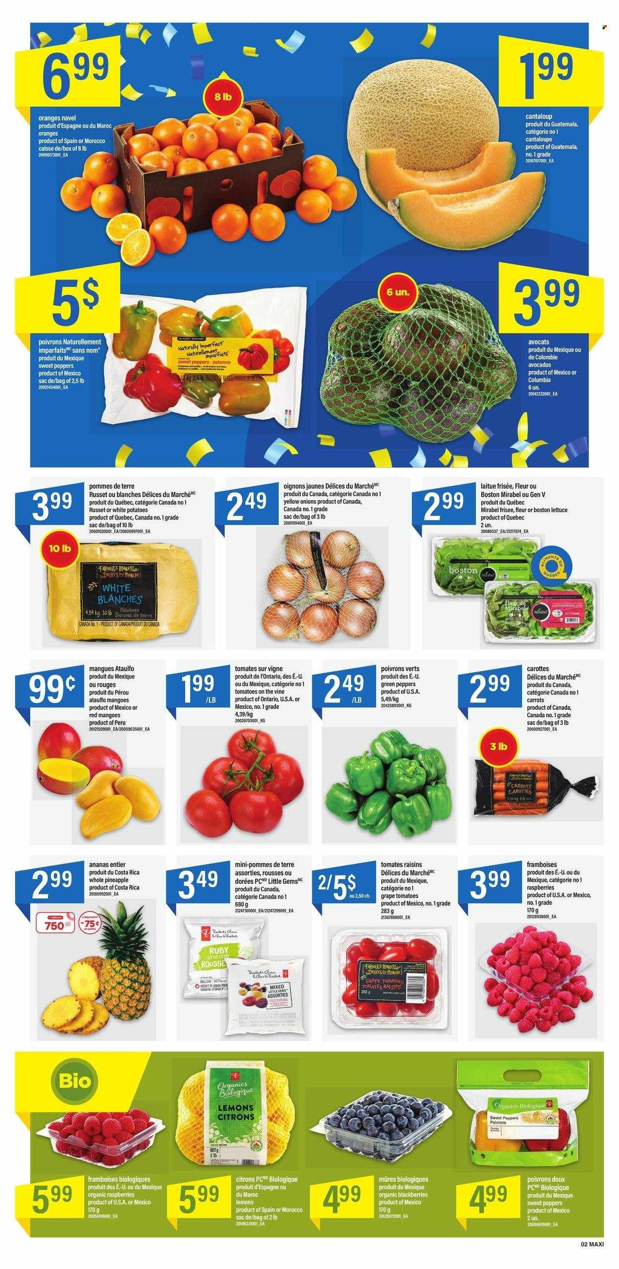 thumbnail - Maxi Flyer - March 16, 2023 - March 22, 2023 - Sales products - cantaloupe, carrots, russet potatoes, sweet peppers, tomatoes, potatoes, onion, lettuce, peppers, avocado, blackberries, pineapple, oranges, lemons, flour, dried fruit, raisins. Page 2.