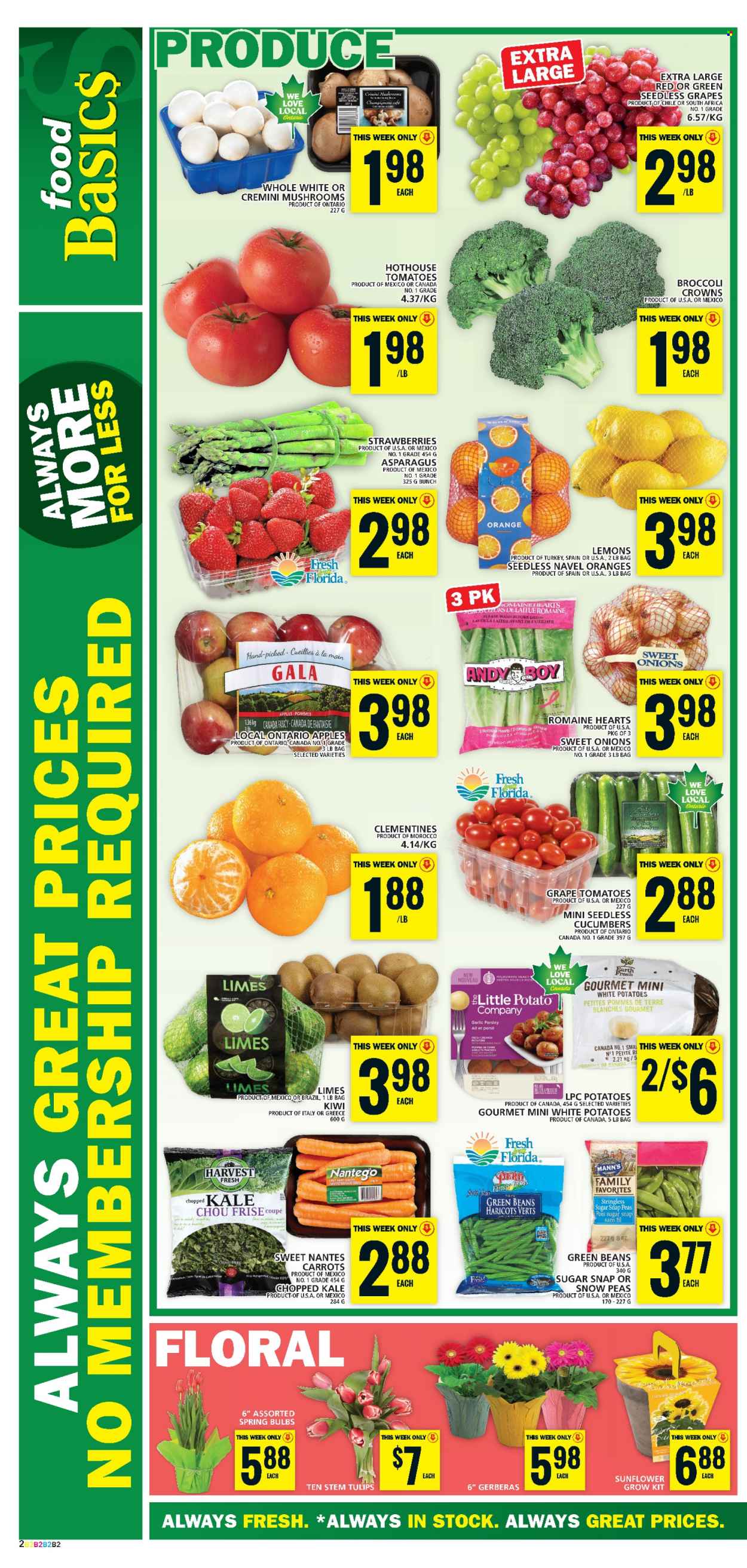 thumbnail - Food Basics Flyer - March 16, 2023 - March 22, 2023 - Sales products - mushrooms, asparagus, beans, carrots, cucumber, garlic, green beans, tomatoes, kale, potatoes, parsley, peas, apples, clementines, Gala, limes, seedless grapes, strawberries, oranges, lemons, navel oranges, snow peas, sugar, tulip, sunflower, gerbera, kiwi. Page 3.
