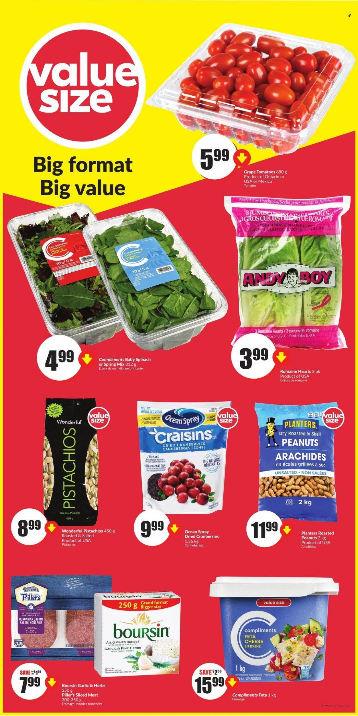 thumbnail - Chalo! FreshCo. Flyer - March 16, 2023 - March 22, 2023 - Sales products - tomatoes, salami, cheese, feta, craisins, cranberries, roasted peanuts, peanuts, dried fruit, pistachios, Planters. Page 9.