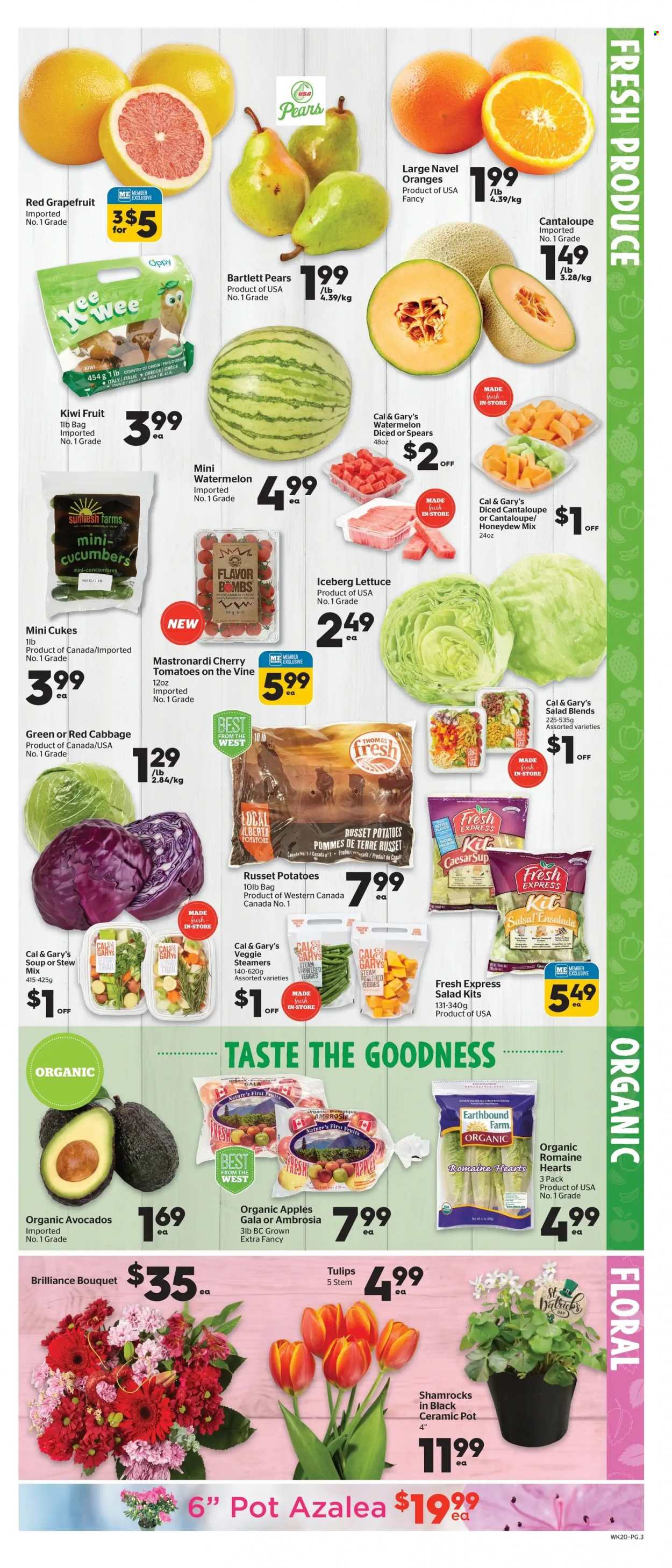 thumbnail - Calgary Co-op Flyer - March 16, 2023 - March 22, 2023 - Sales products - cabbage, cucumber, russet potatoes, potatoes, lettuce, salad, apples, avocado, Bartlett pears, Gala, grapefruits, watermelon, honeydew, cherries, pears, oranges, navel oranges, soup, salsa, kiwi. Page 3.