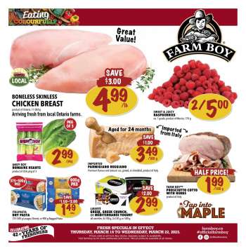FARM BOY flyer