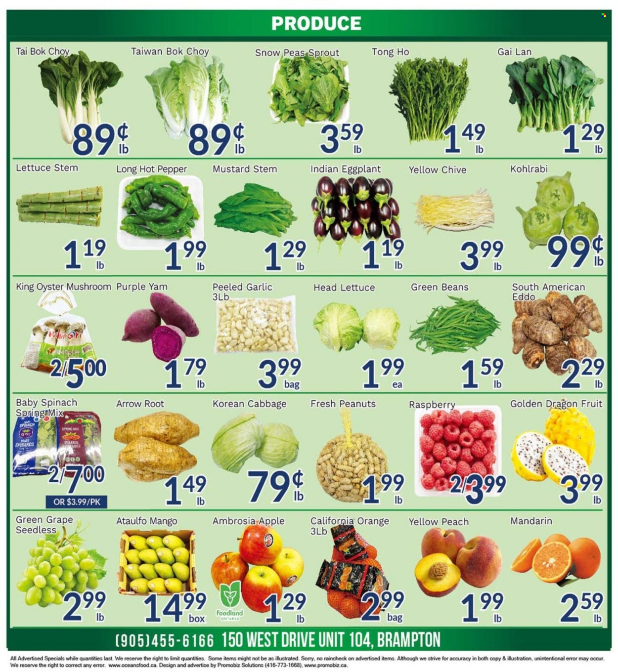 thumbnail - Oceans Flyer - March 17, 2023 - March 23, 2023 - Sales products - oyster mushrooms, mushrooms, beans, bok choy, cabbage, garlic, green beans, spinach, peas, lettuce, eggplant, mandarines, mango, oranges, dragon fruit, oysters, snow peas, pepper, mustard, peanuts, kohlrabi, deodorant. Page 2.