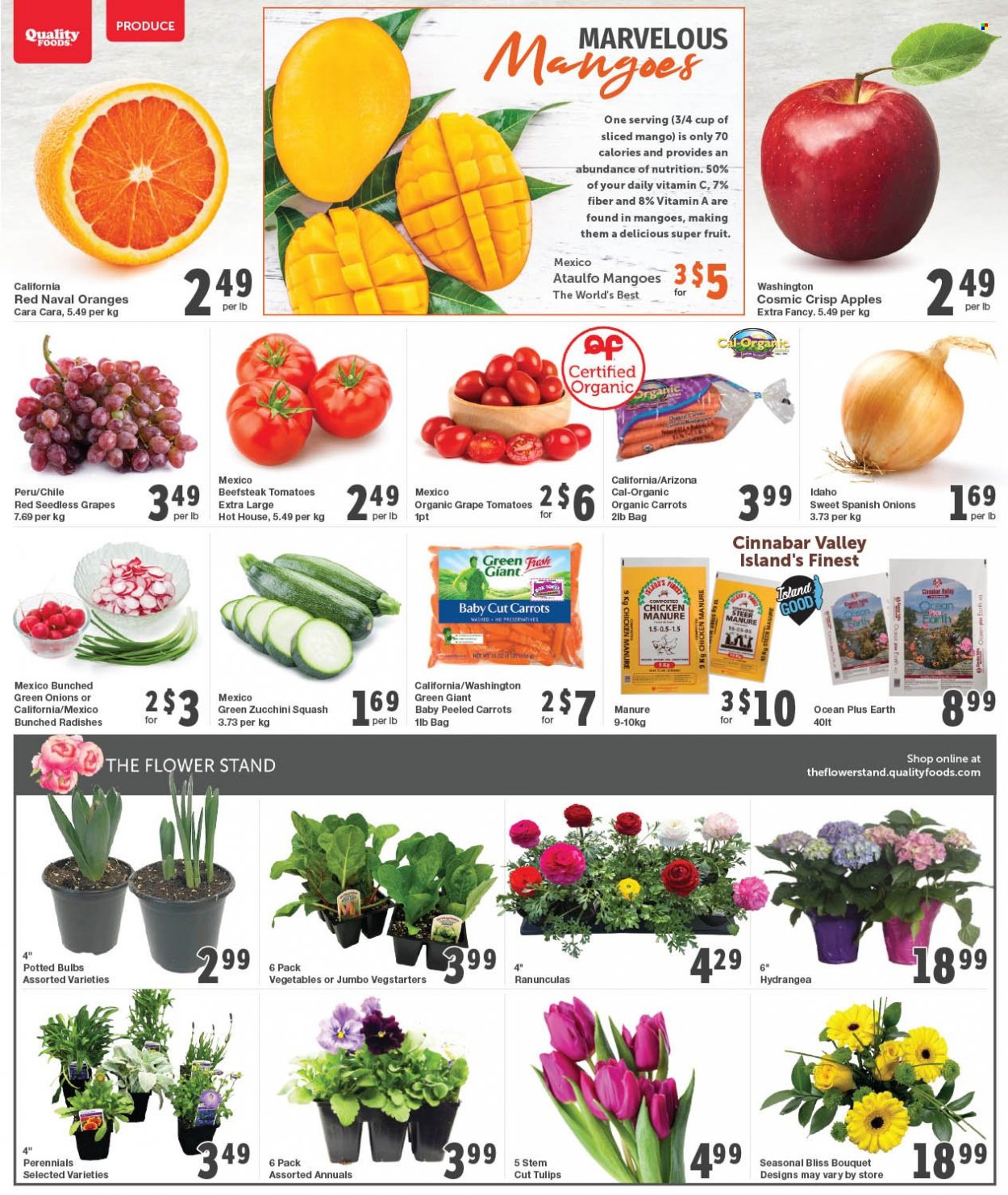 thumbnail - Quality Foods Flyer - March 20, 2023 - March 26, 2023 - Sales products - carrots, radishes, tomatoes, zucchini, green onion, apples, seedless grapes, oranges, AriZona, chicken, cup, bulb, vitamin c. Page 2.