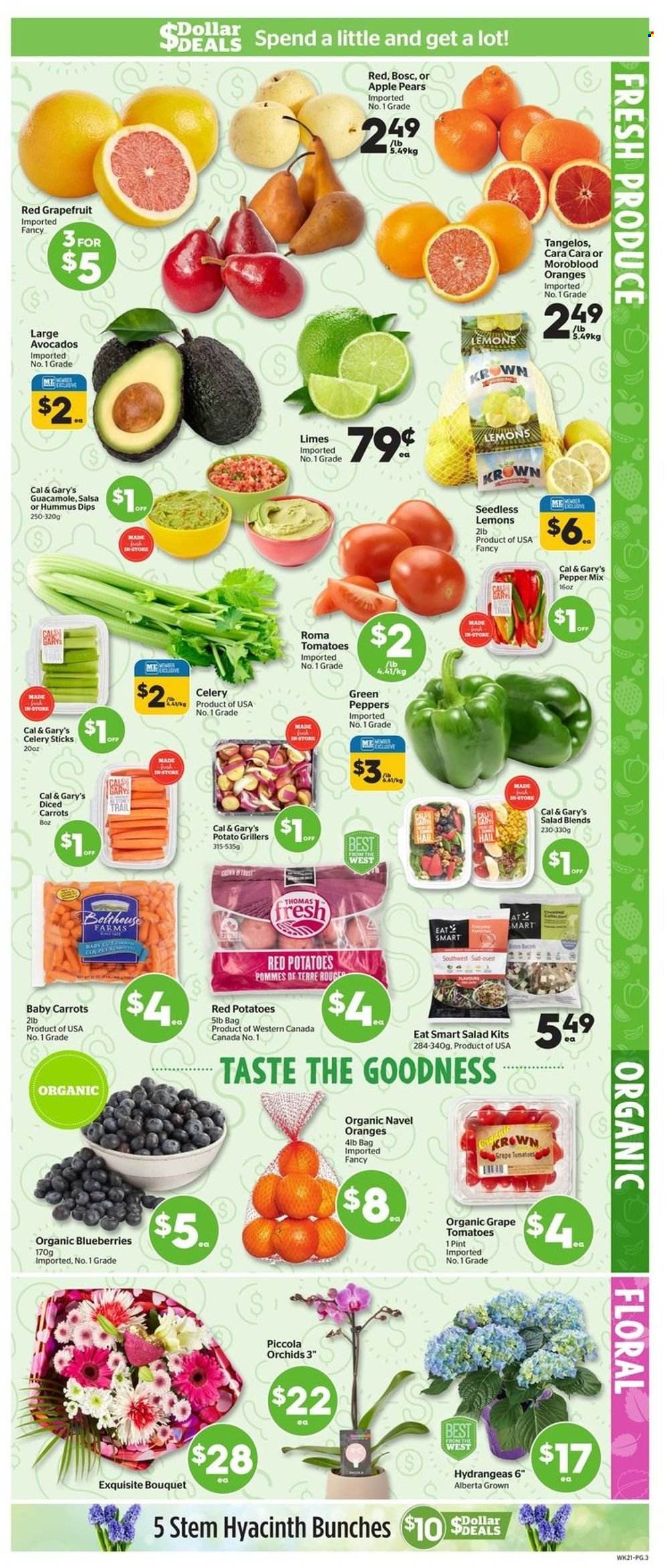 thumbnail - Calgary Co-op Flyer - March 23, 2023 - March 29, 2023 - Sales products - carrots, tomatoes, potatoes, salad, peppers, red potatoes, blueberries, grapefruits, limes, tangelos, pears, oranges, lemons, navel oranges, bacon, hummus, guacamole, celery sticks, pepper, salsa, Trust. Page 3.