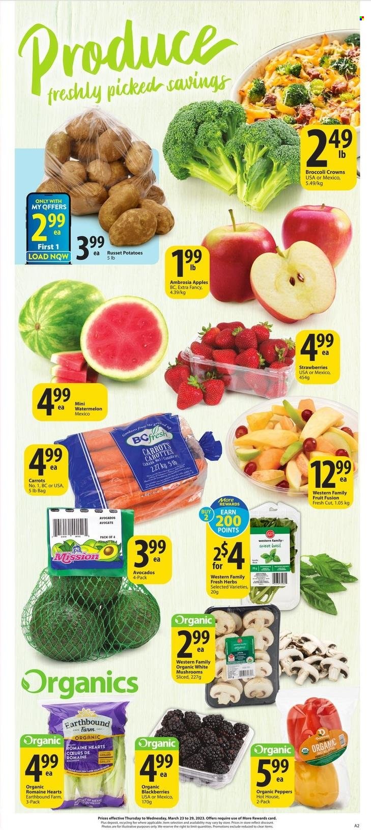 thumbnail - Circulaire Save-On-Foods - 23 Mars 2023 - 29 Mars 2023 - Produits soldés - carotte, avocat. Page 4.