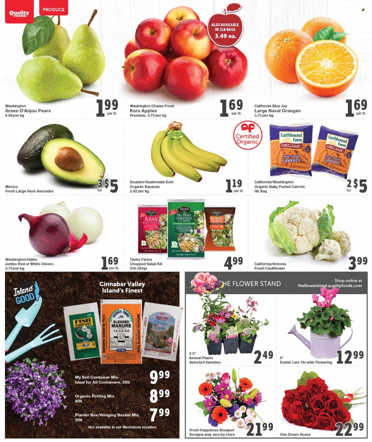 thumbnail - Quality Foods Flyer - March 27, 2023 - April 02, 2023 - Sales products - carrots, cauliflower, onion, salad, Dole, chopped salad, apples, avocado, bananas, pears, oranges, organic bananas, fish, dill pickle, dill, AriZona, basket, container. Page 2.