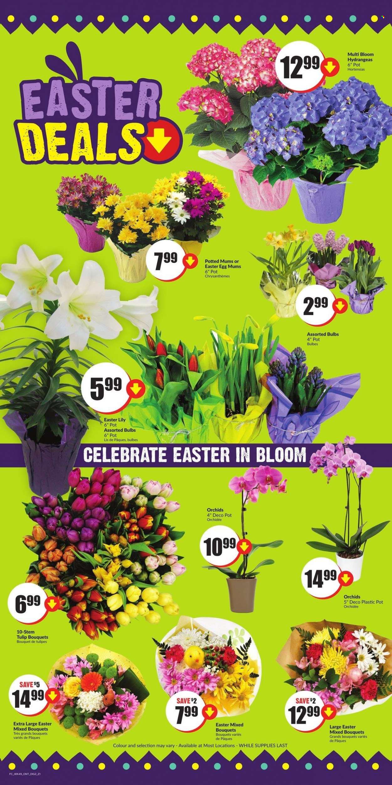Chalo! FreshCo. flyer - April 06, 2023 - April 12, 2023. Page 6