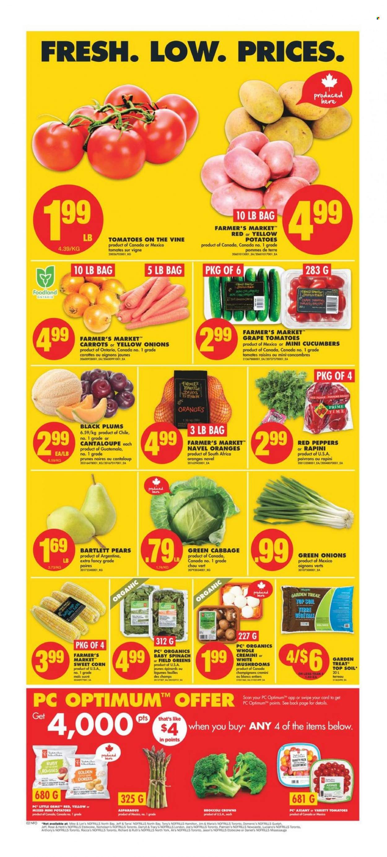 No Frills flyer - April 06, 2023 - April 12, 2023. Page 2