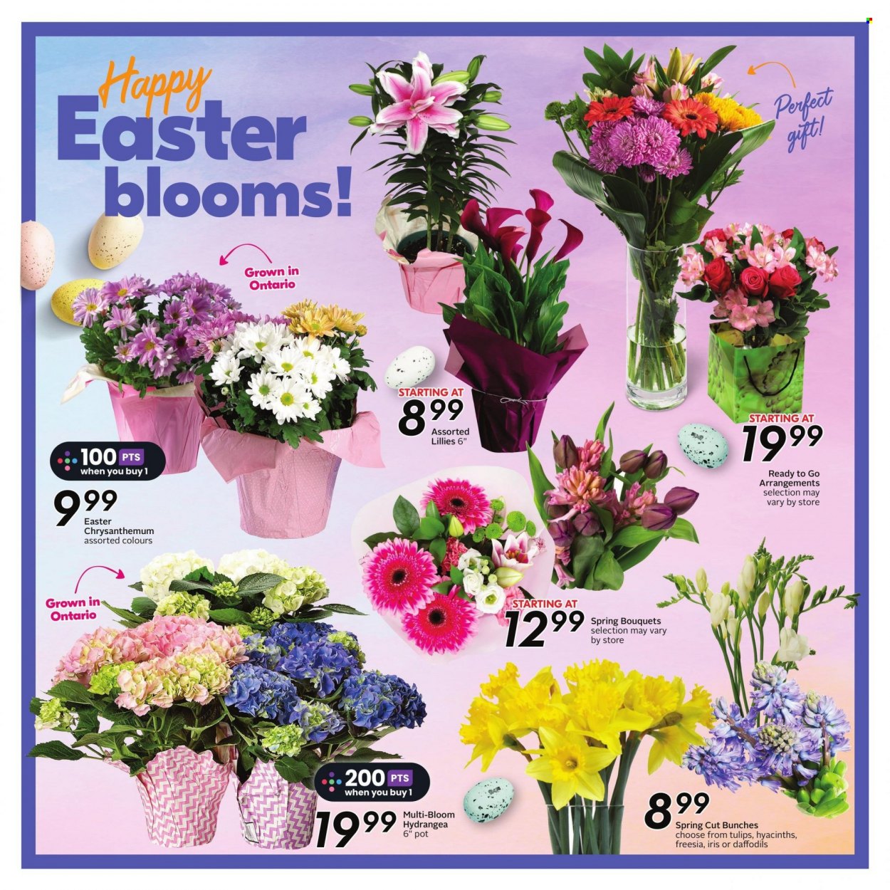 Sobeys flyer - April 06, 2023 - April 12, 2023. Page 6