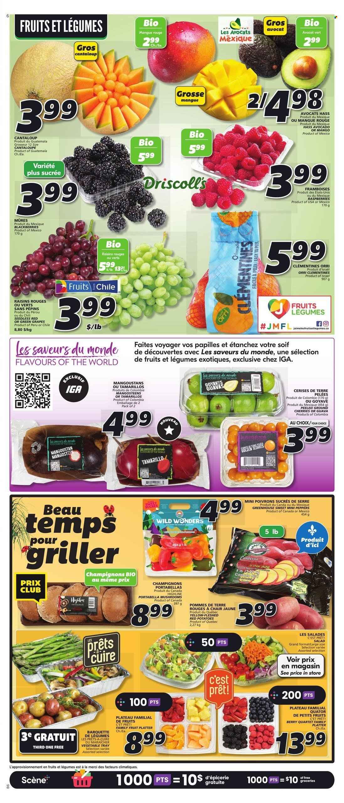 IGA flyer - April 20, 2023 - April 26, 2023. Page 12