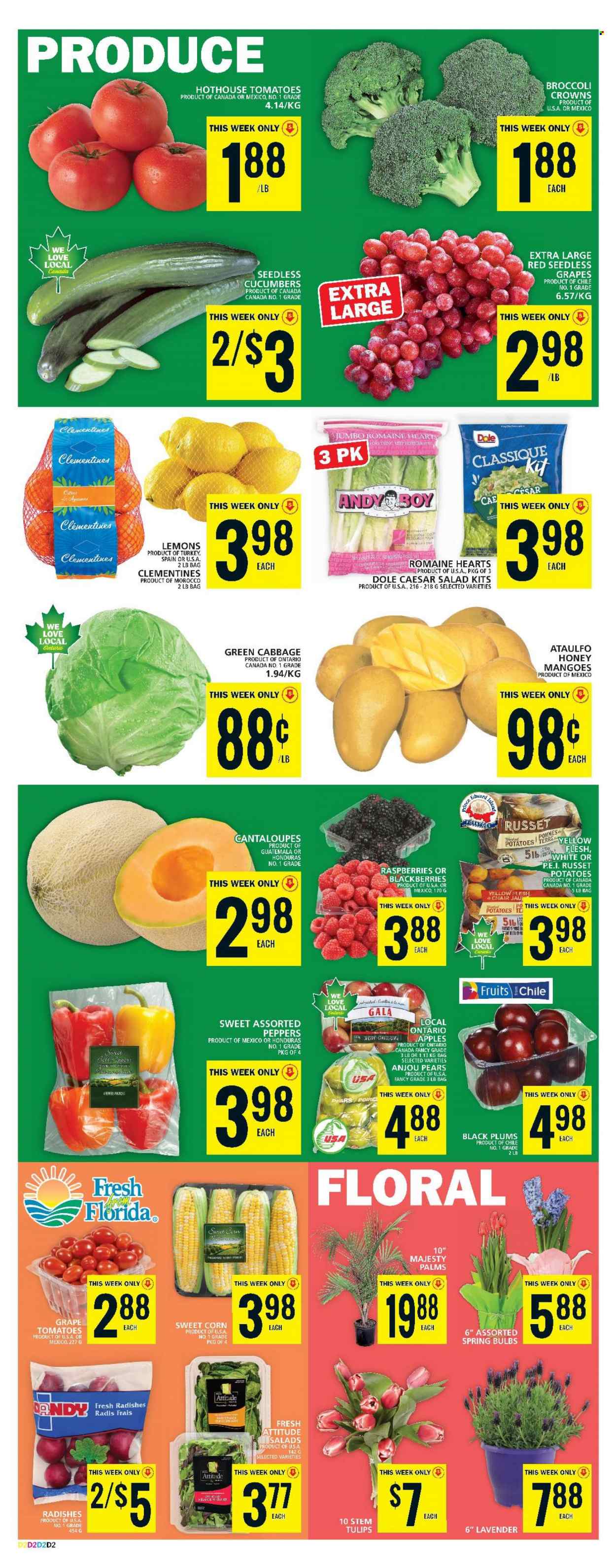 Food Basics flyer - April 20, 2023 - April 26, 2023. Page 4
