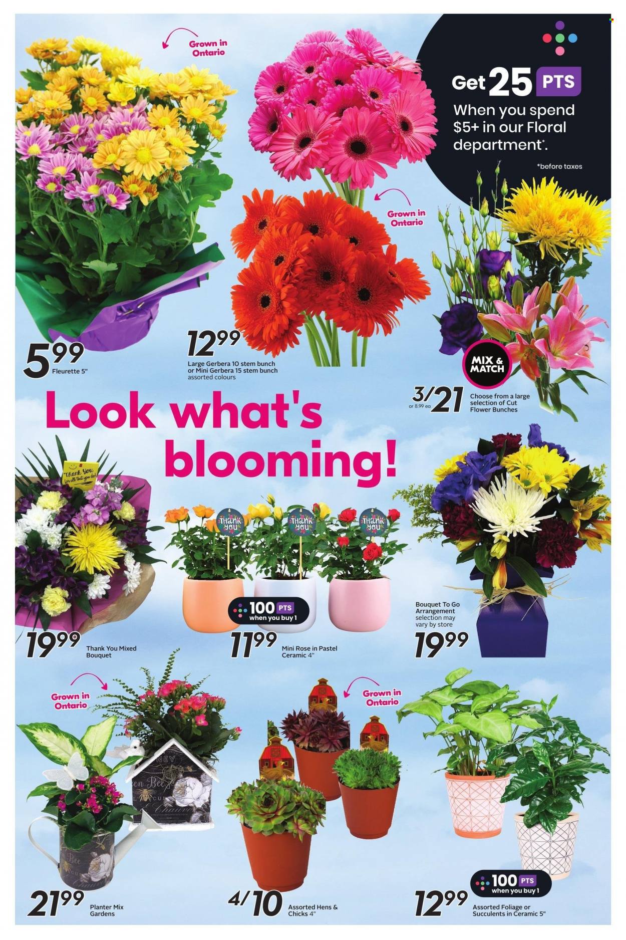 Sobeys flyer - April 20, 2023 - April 26, 2023. Page 6