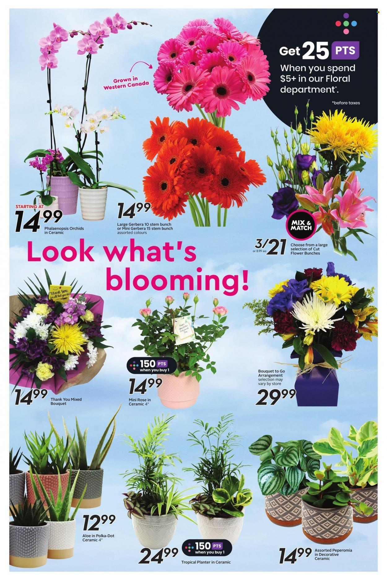 Sobeys flyer - April 20, 2023 - April 26, 2023. Page 8