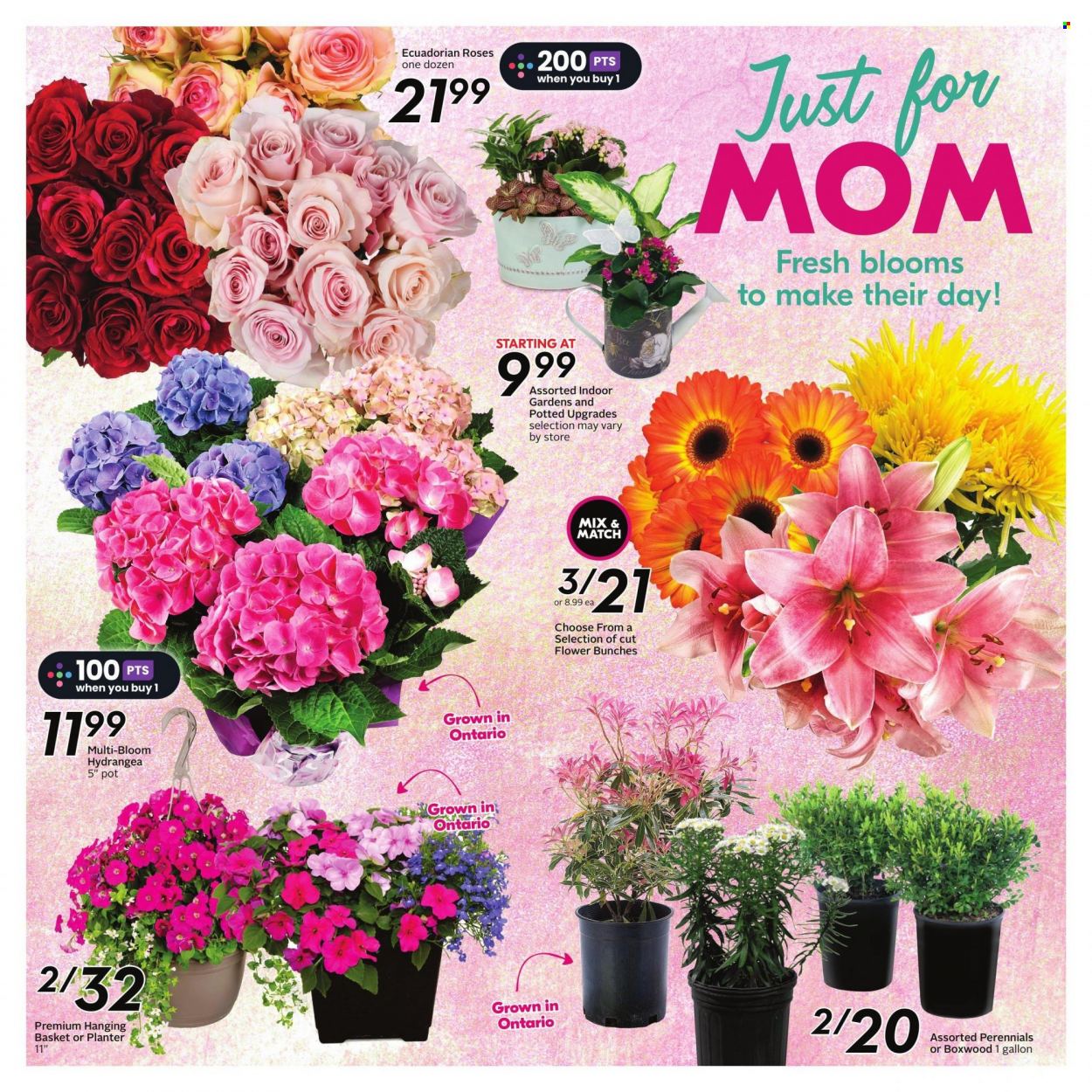 Sobeys flyer - May 04, 2023 - May 10, 2023. Page 5