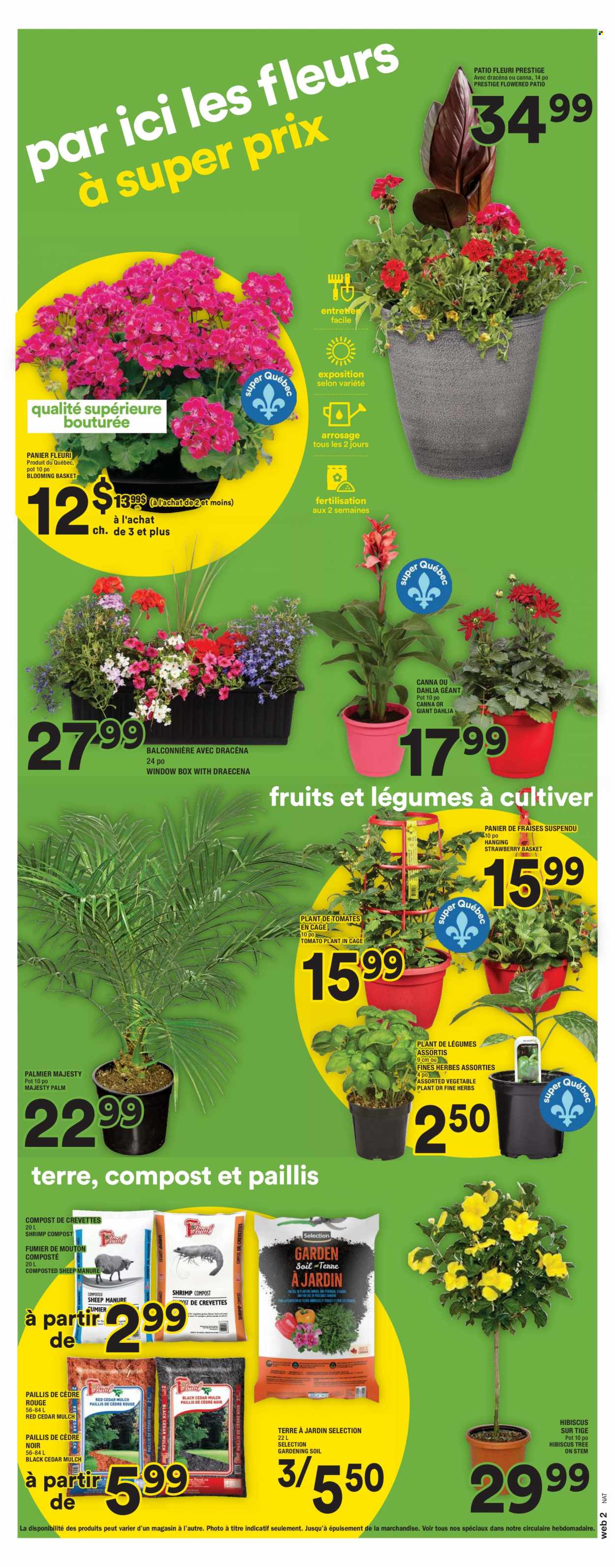 Super C flyer - May 11, 2023 - May 17, 2023. Page 11