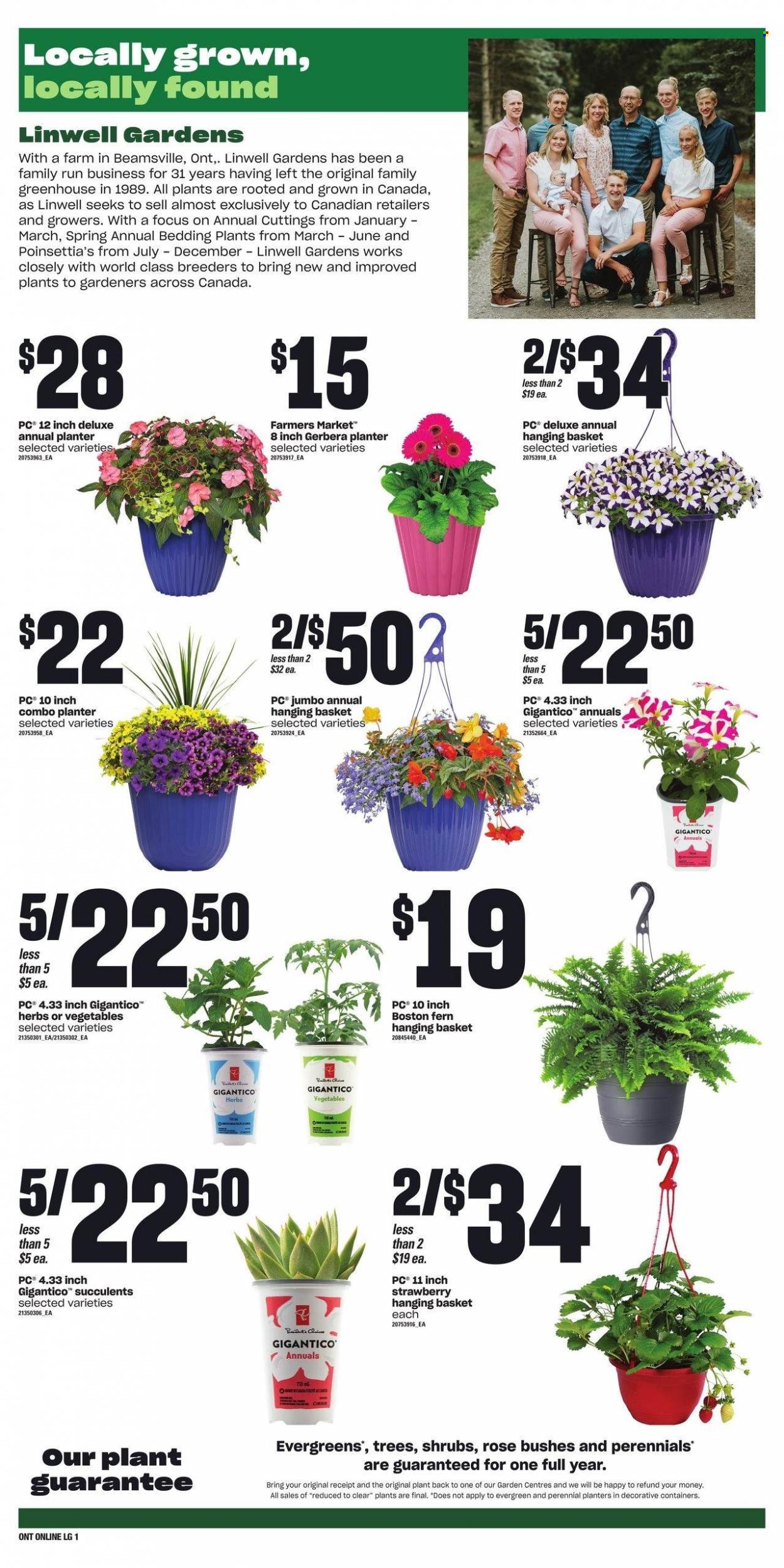 Loblaws flyer - May 11, 2023 - May 17, 2023. Page 5