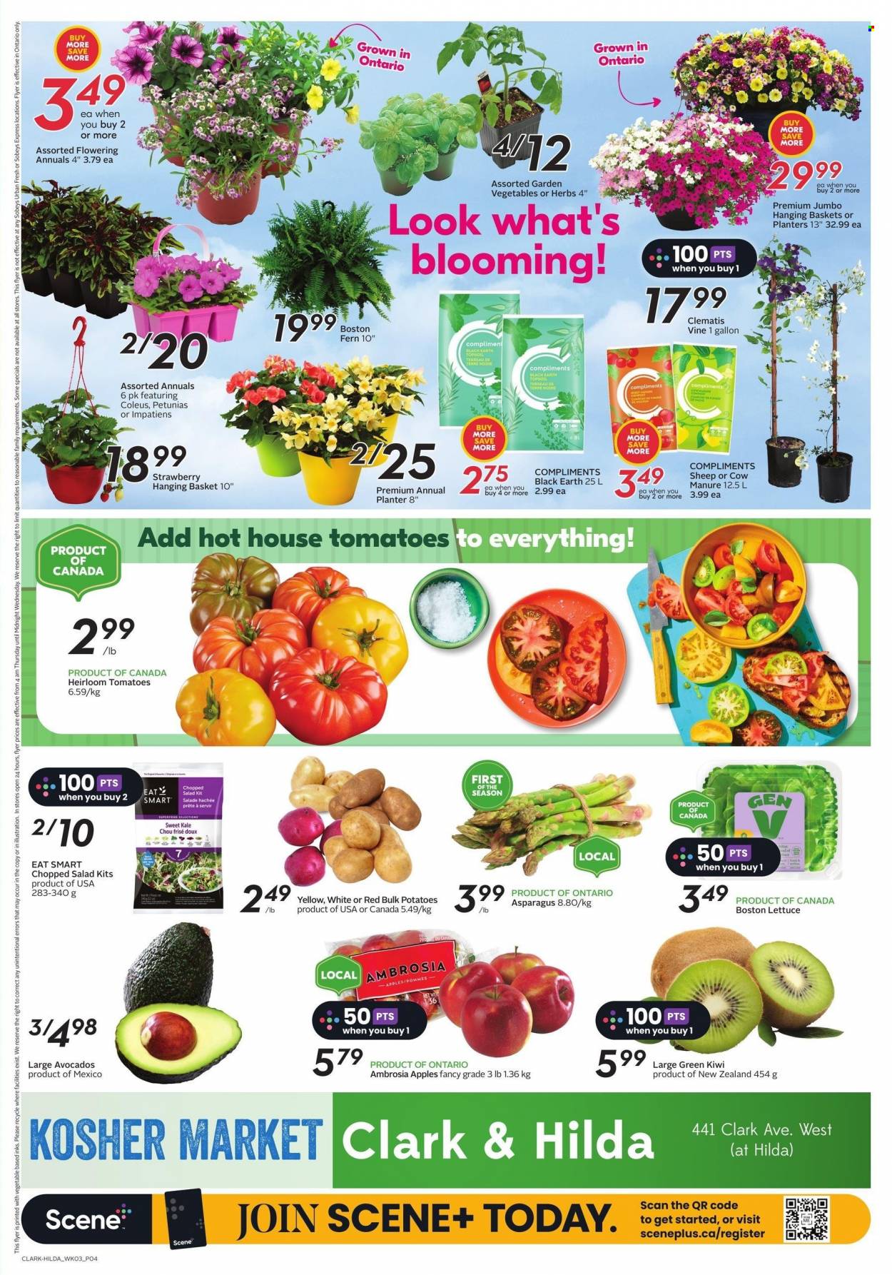Sobeys flyer - May 18, 2023 - May 24, 2023. Page 6