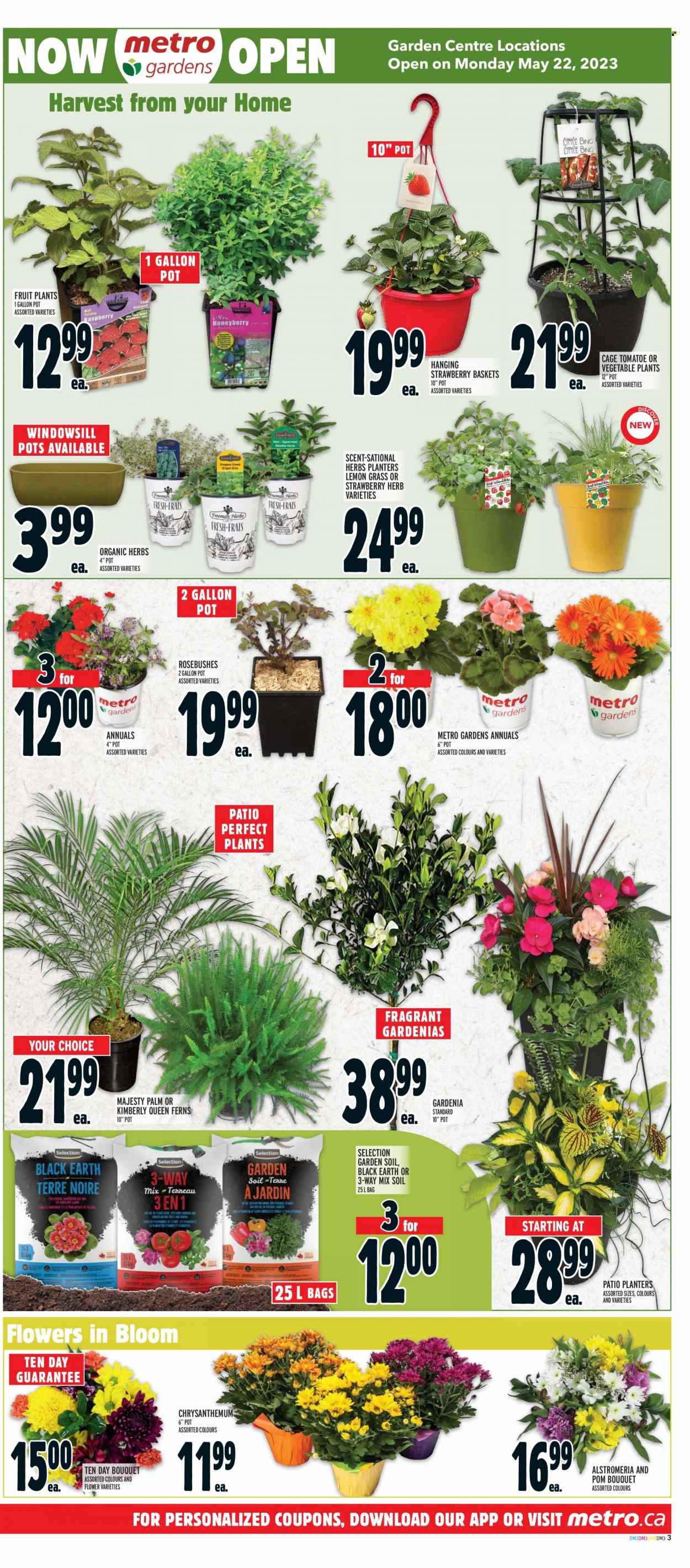 Metro flyer - May 18, 2023 - May 24, 2023. Page 6