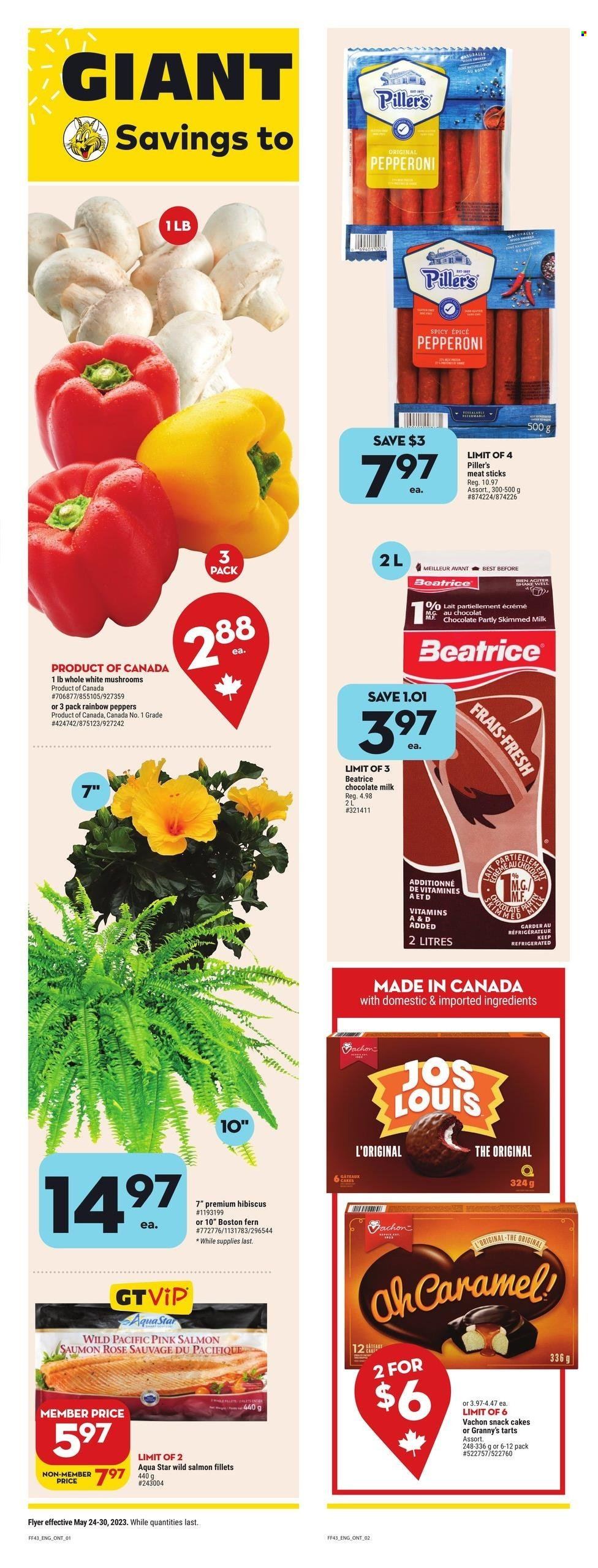 Giant Tiger flyer - May 24, 2023 - May 30, 2023. Page 2