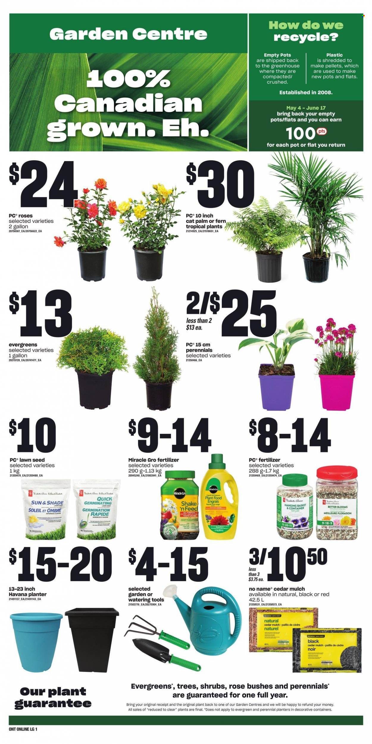 Loblaws flyer - May 25, 2023 - May 31, 2023. Page 5