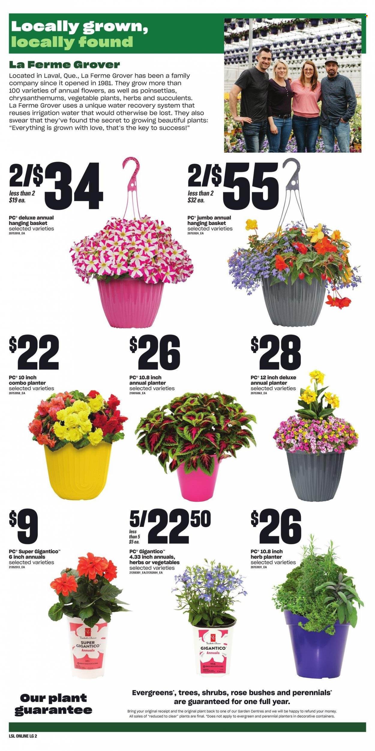 Loblaws flyer - May 25, 2023 - May 31, 2023. Page 6