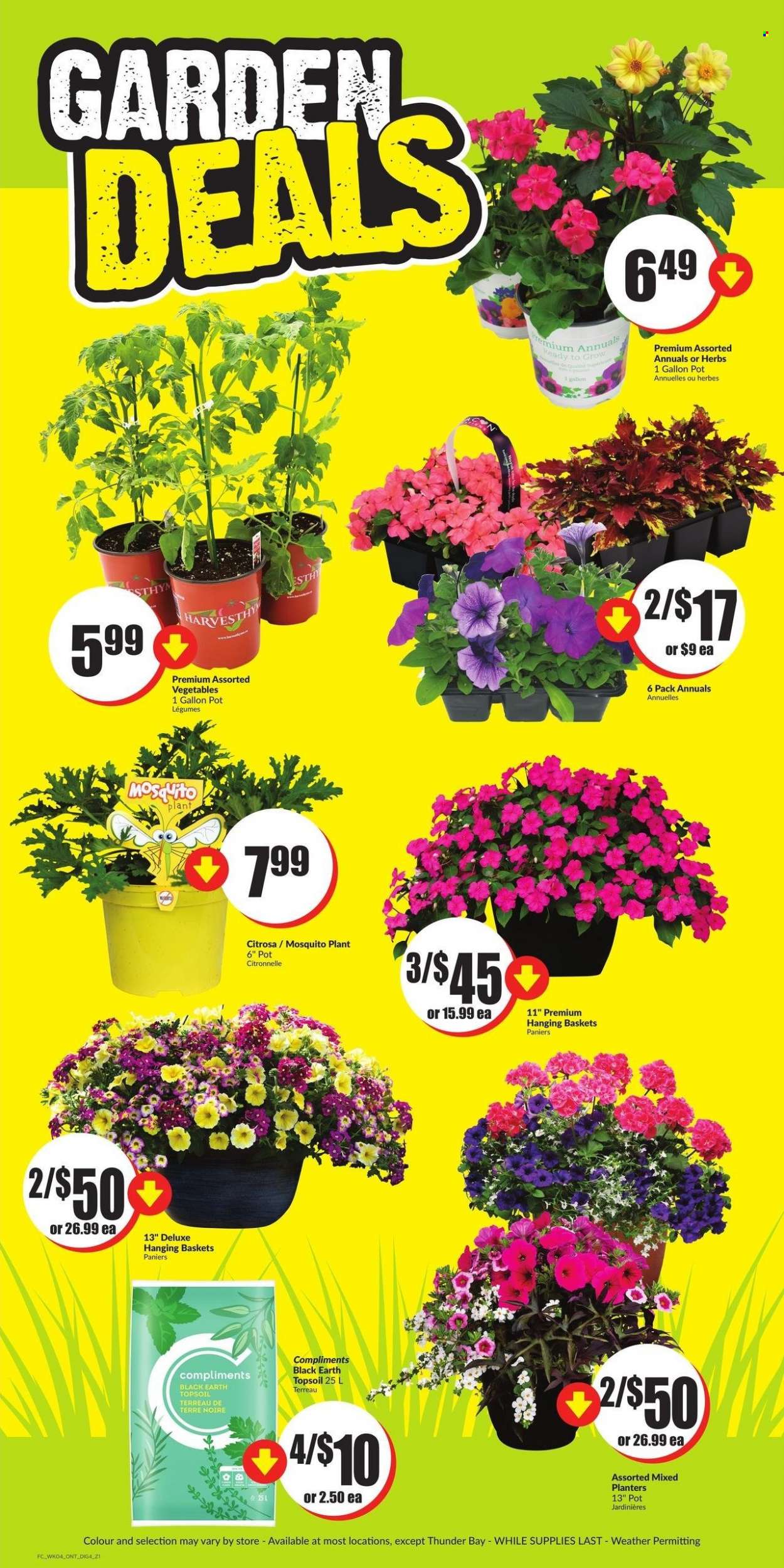 FreshCo. flyer - May 25, 2023 - May 31, 2023. Page 10