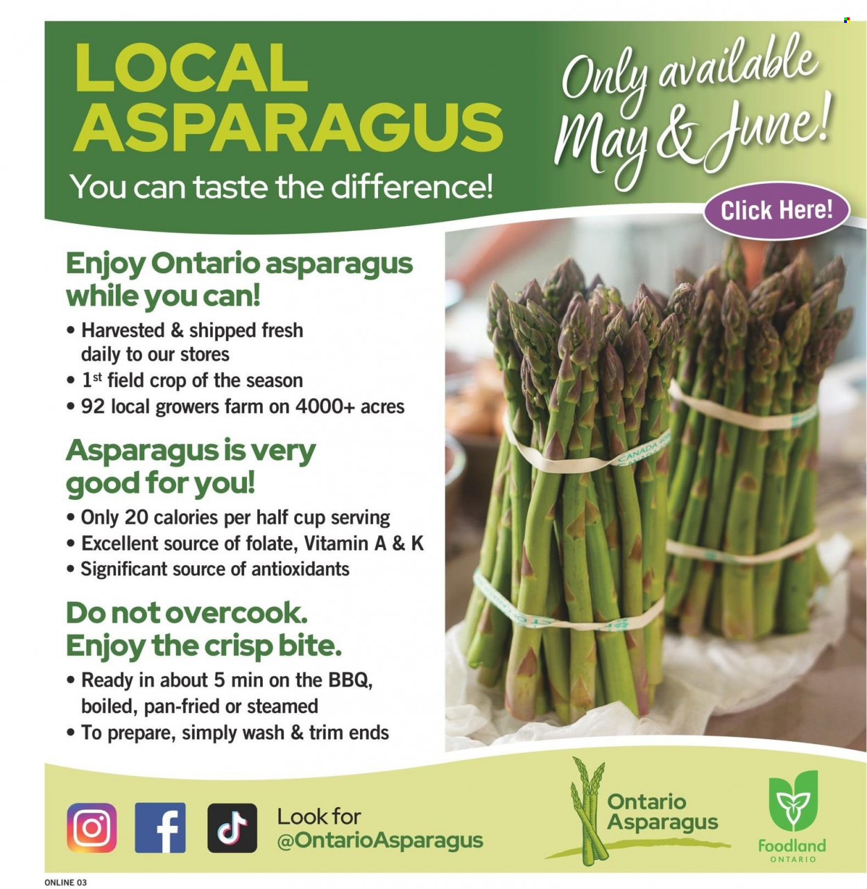 Fortinos flyer - May 25, 2023 - May 31, 2023. Page 4